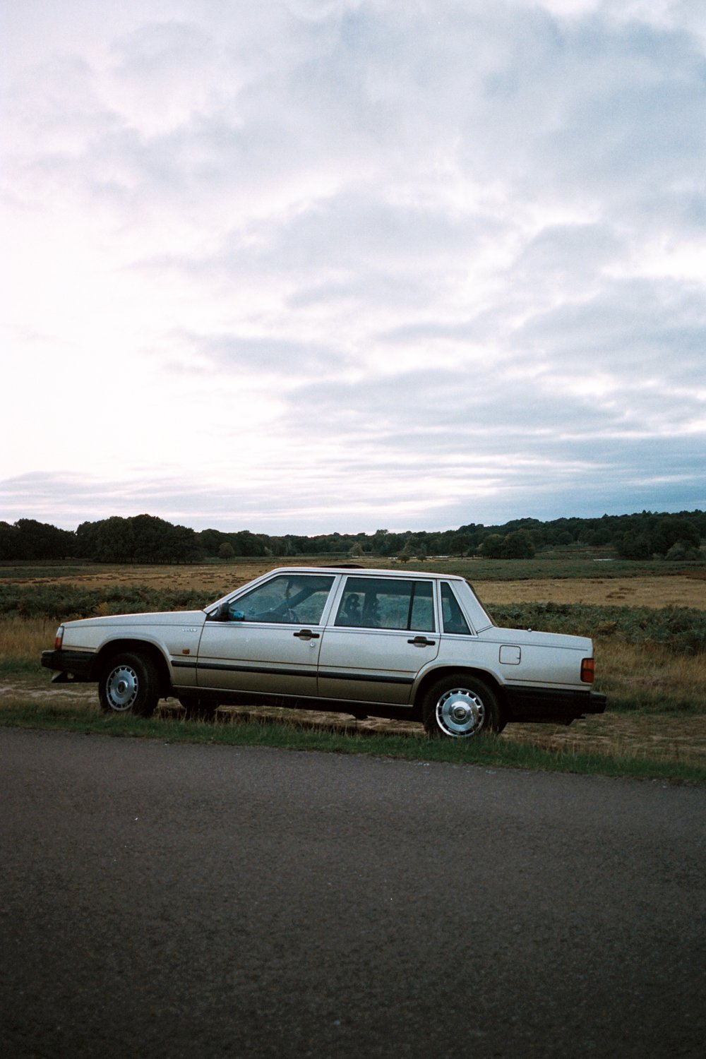 W24-54.jpg