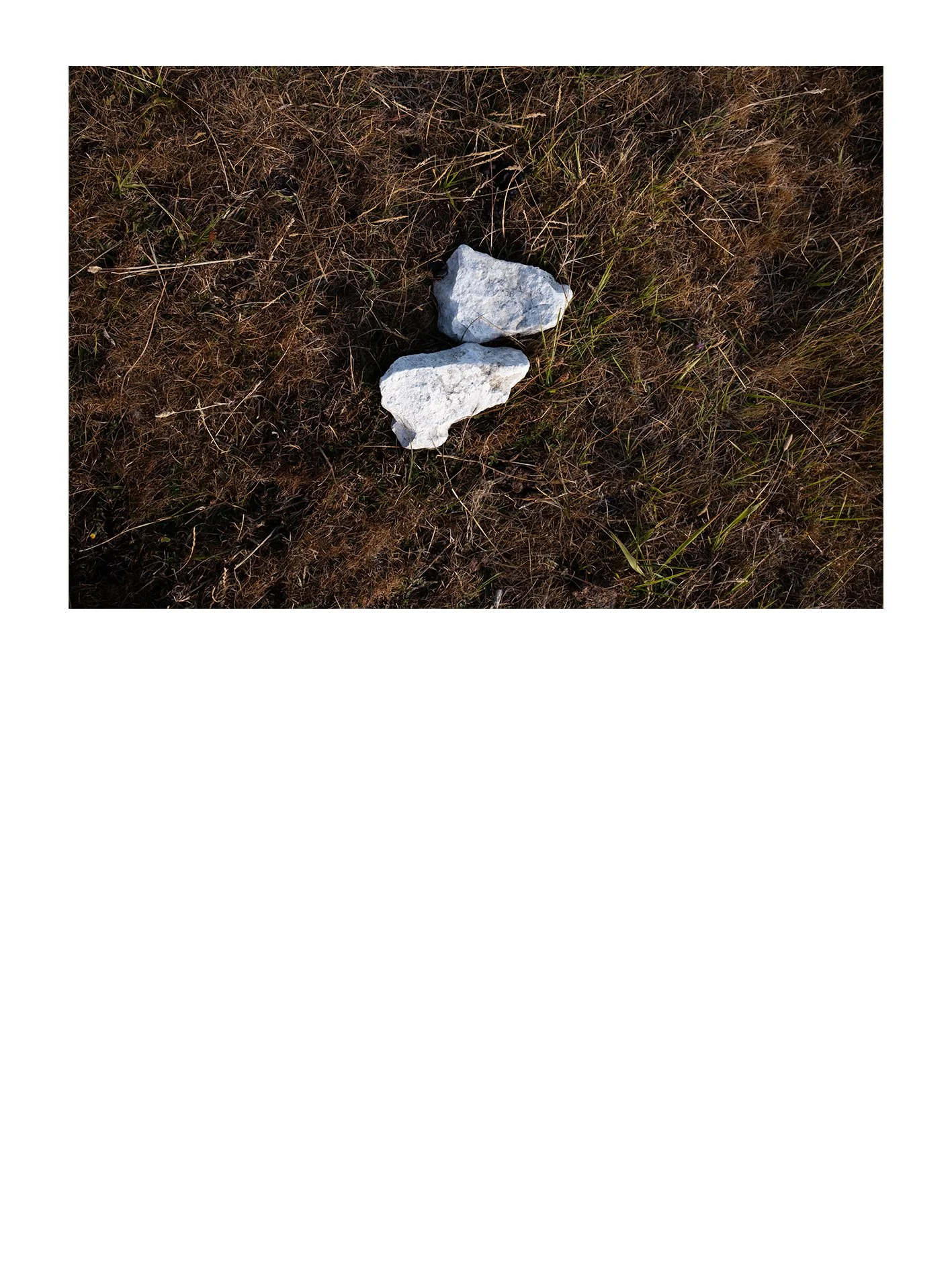 Untitled-10.jpg