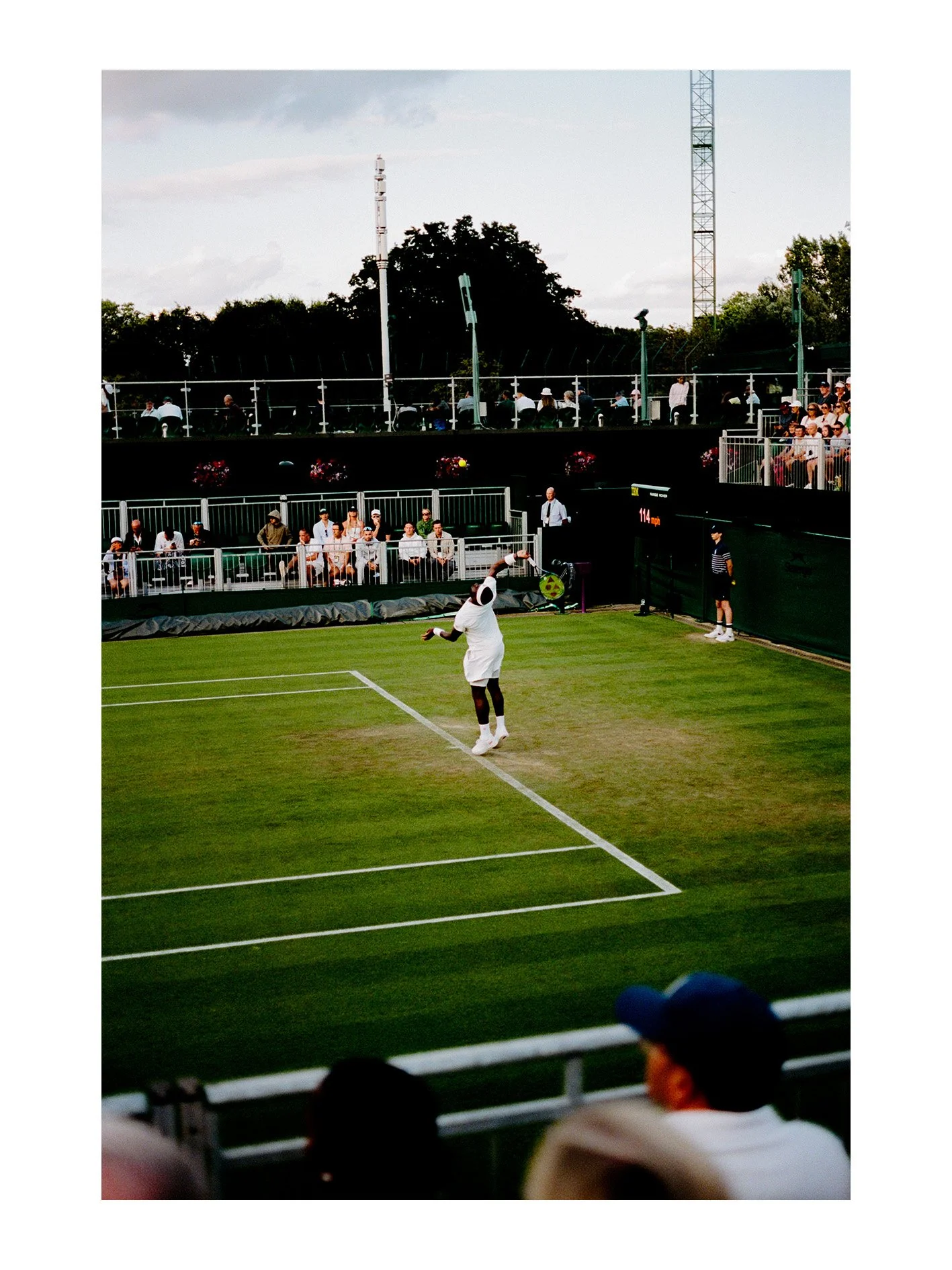 TIAFOE.jpg