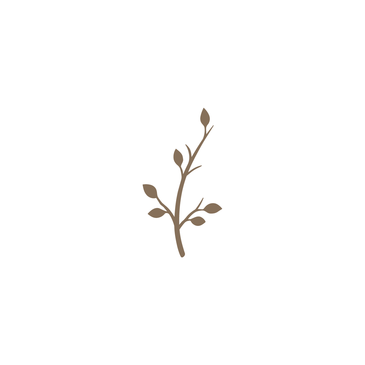 A simple illustration of a brown sprig with small leaves on a white background.