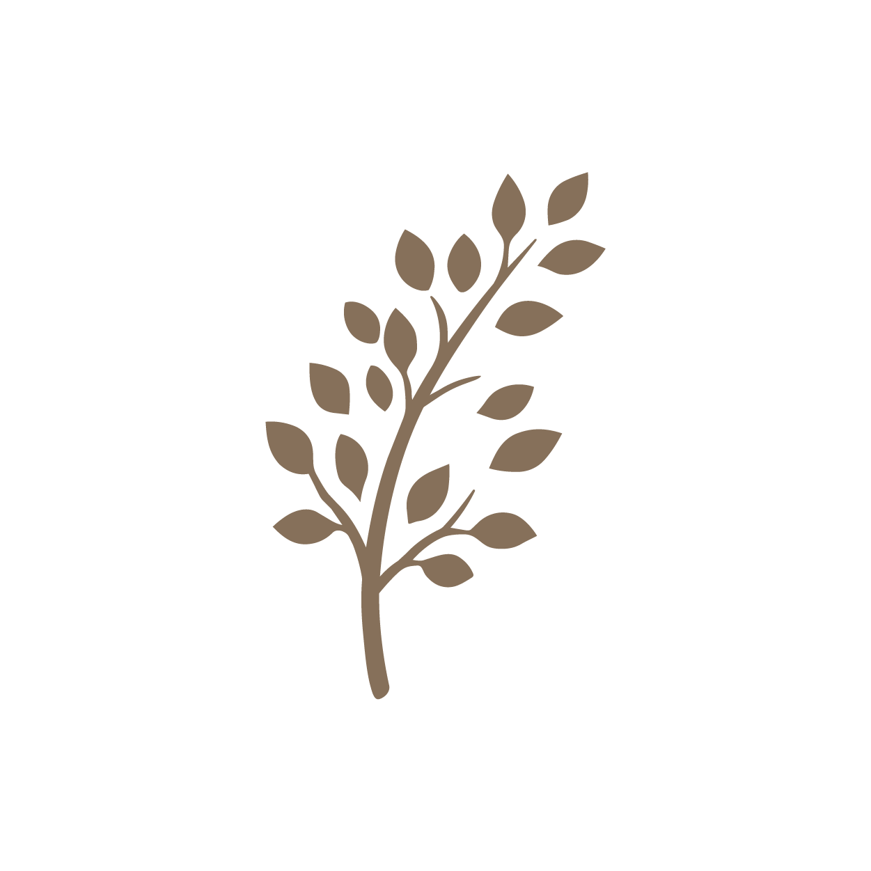 Simplistic brown illustration of a leafy branch on a black background.