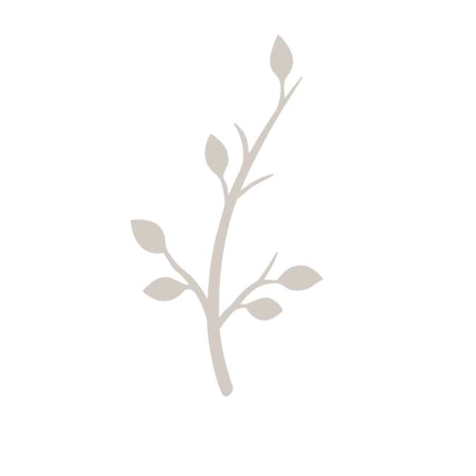 A gray illustration of a small flowering branch with leaves on a black background.