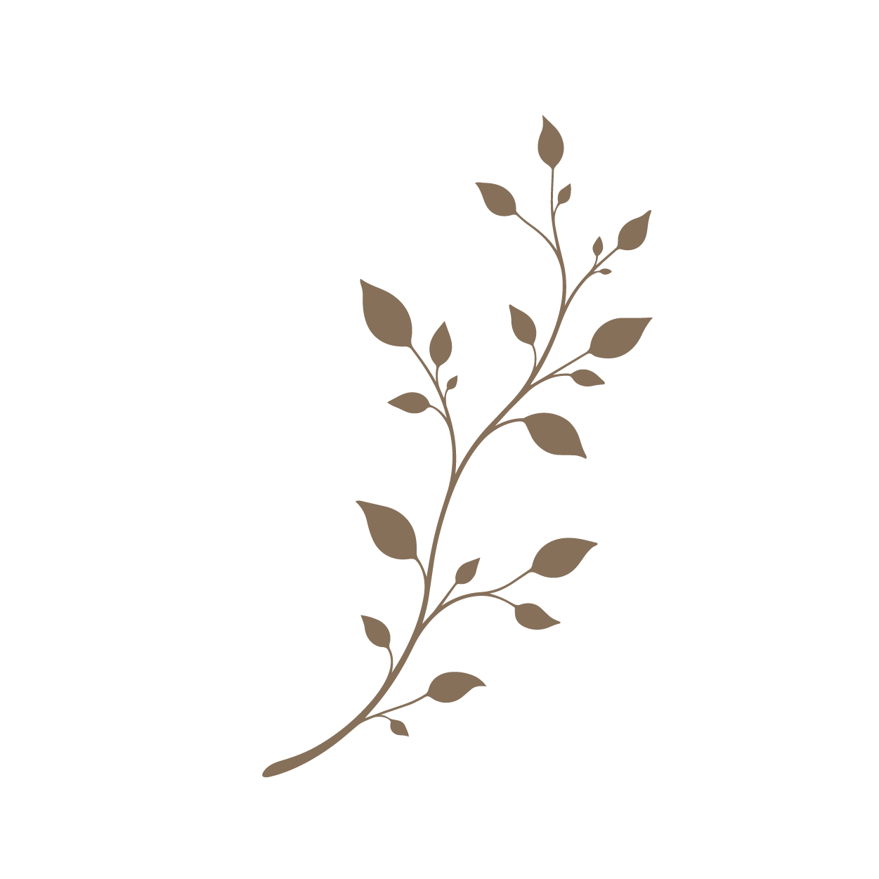 A minimalistic illustration of a brown leafy branch on a black background.