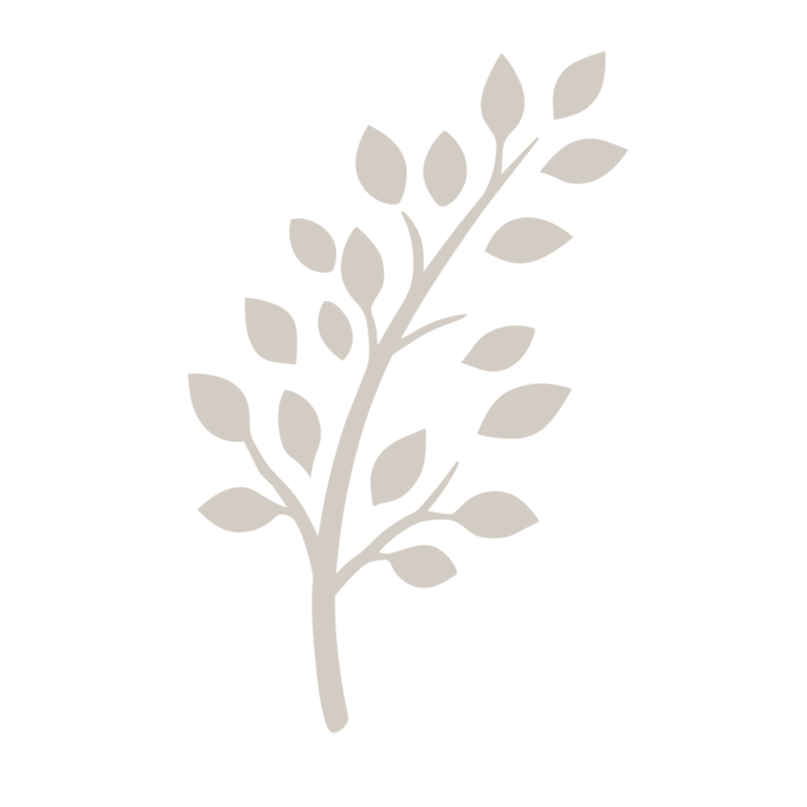Gray silhouette of a branch with leaves against a black background.