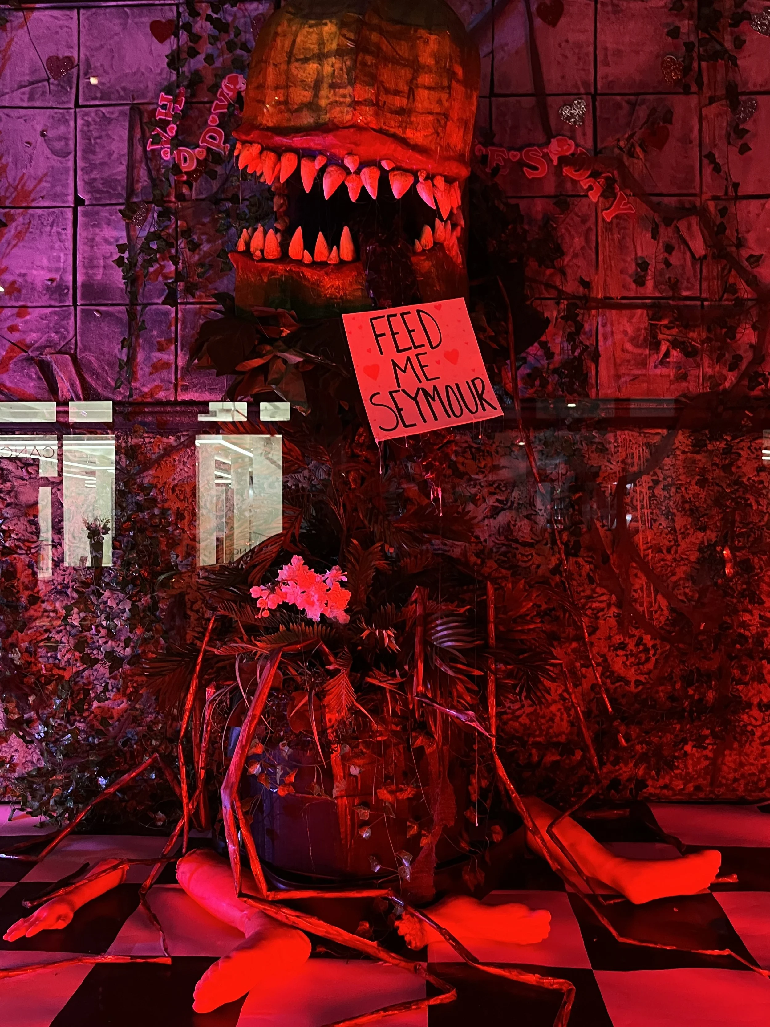 Window Displays
