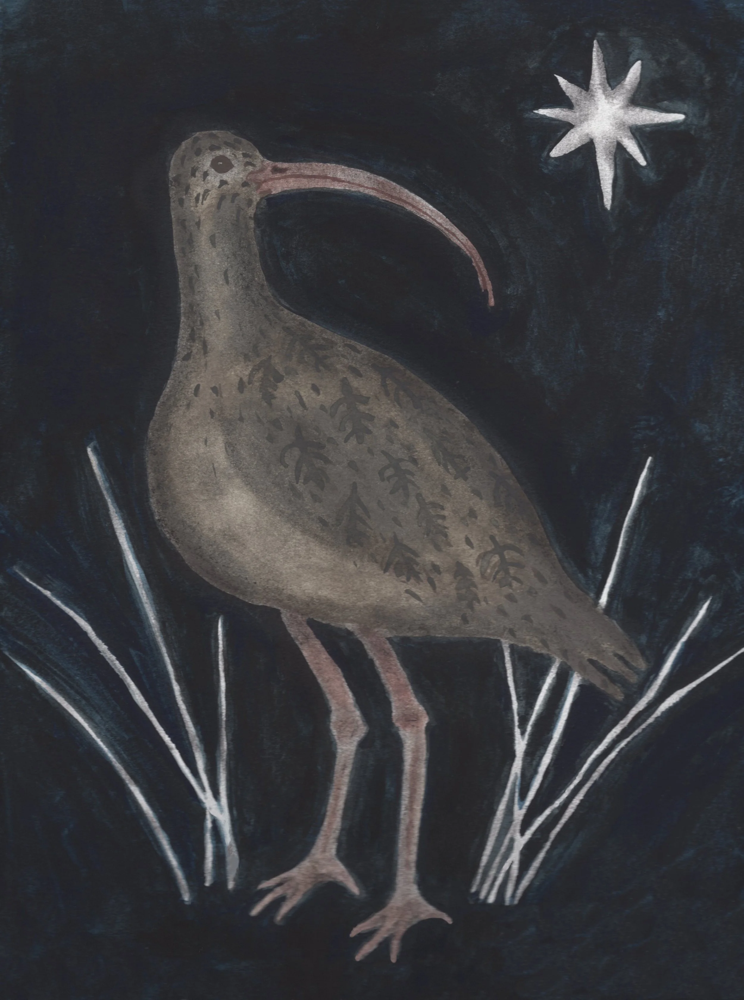 Curlew at night - Gouache and charcoal on paper, 2024
