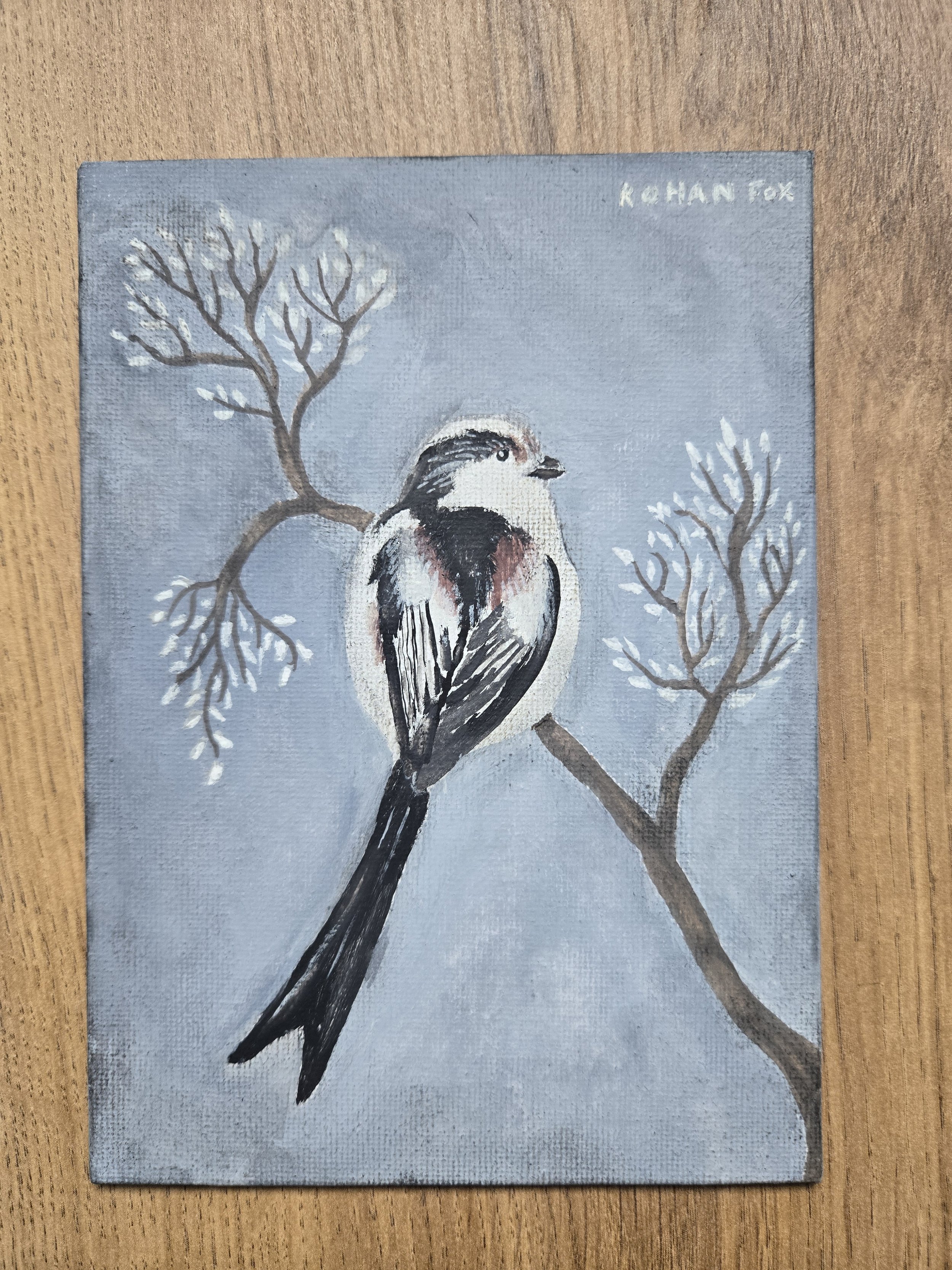 Winter Long-Tailed Tit