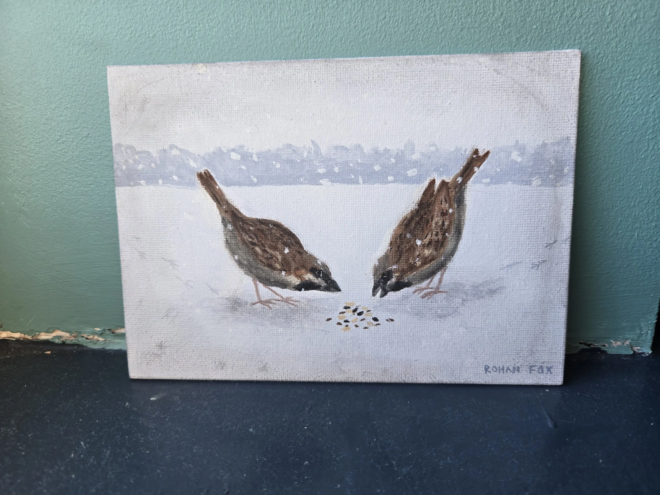 Winter Sparrows