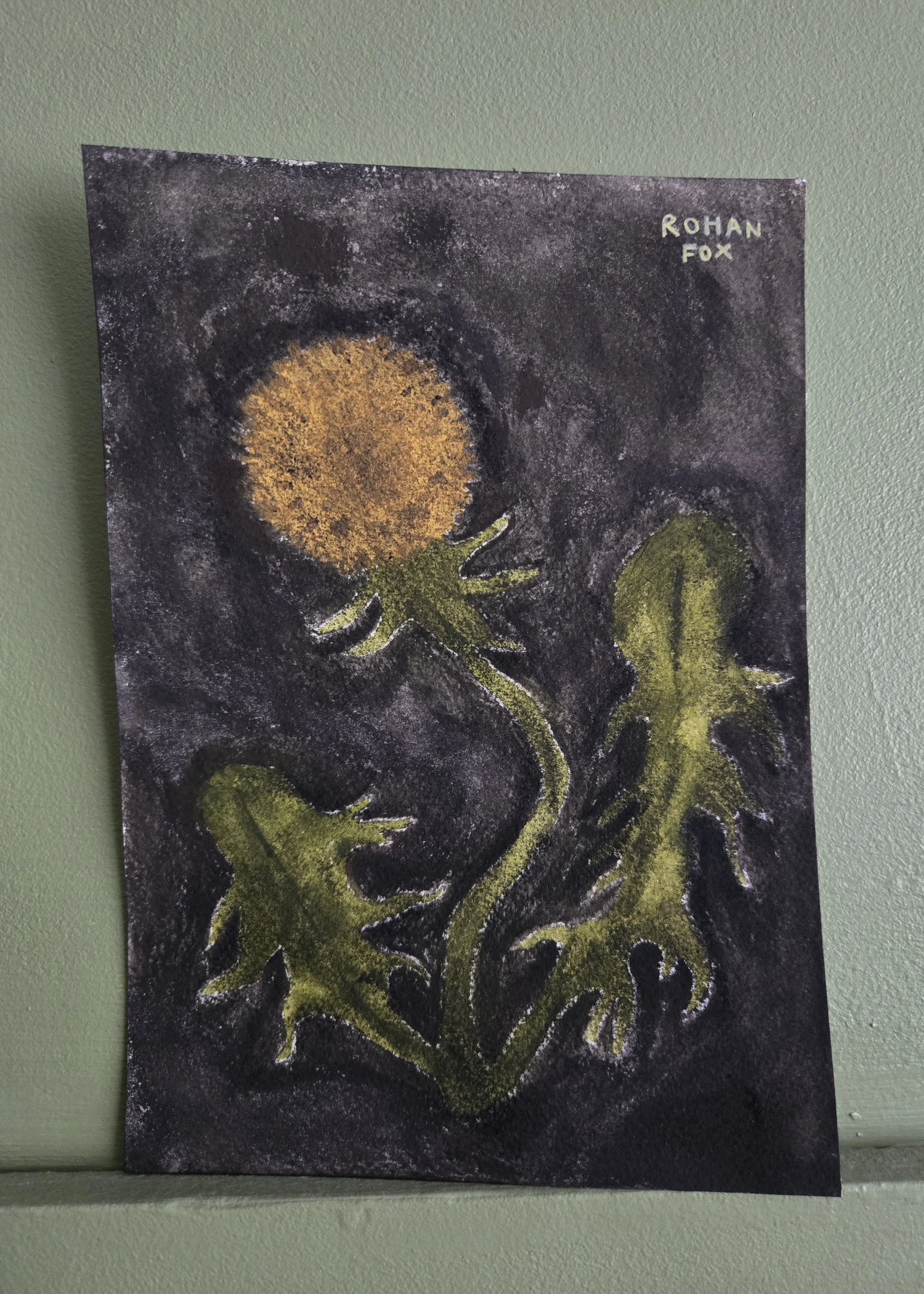 Dandelion