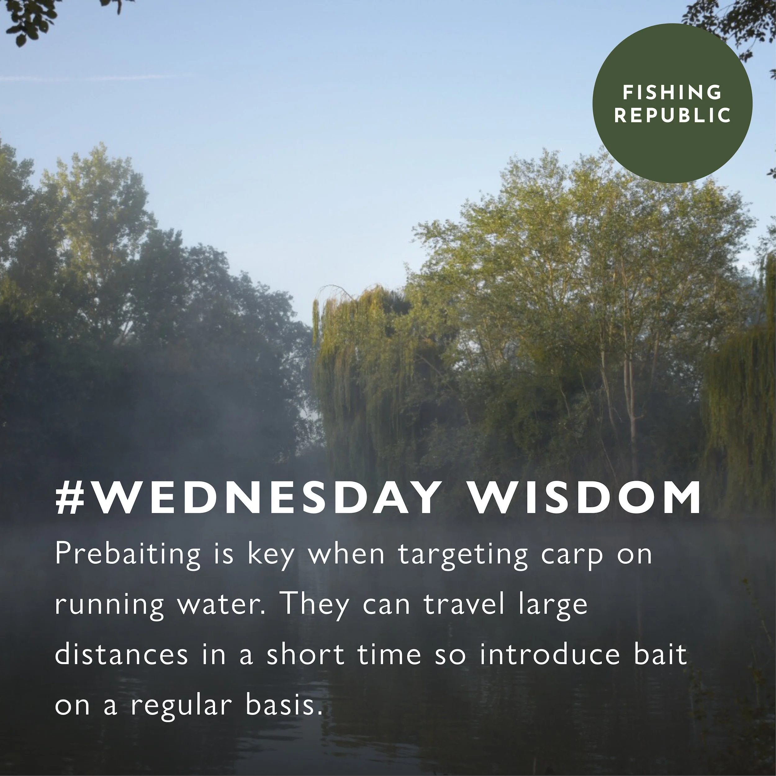wednesday-wisdom-11.jpg
