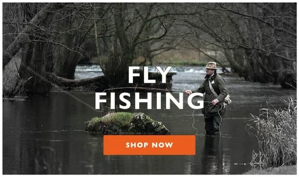 category-title-email-banner-06.webp
