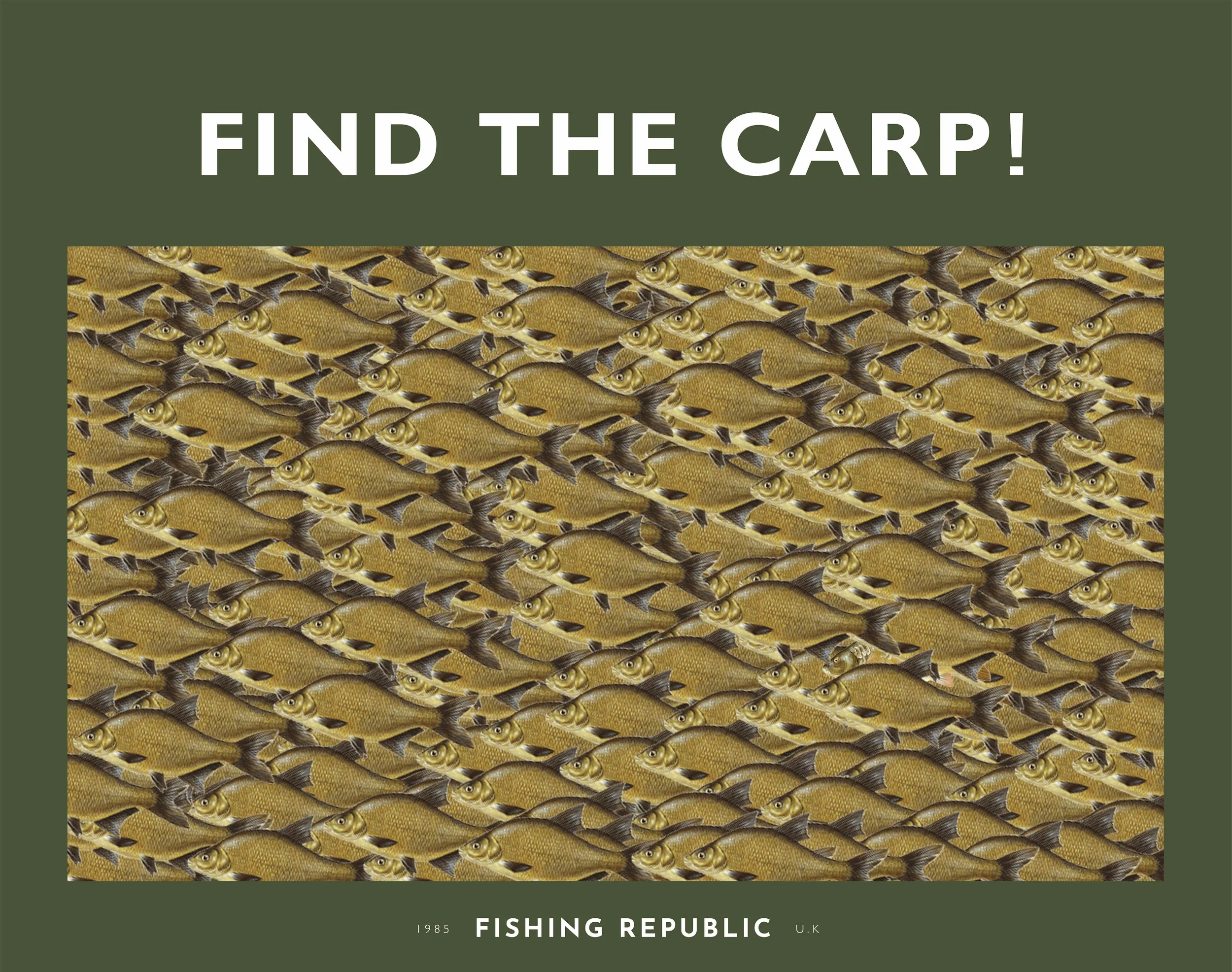 find-the-carp.jpg