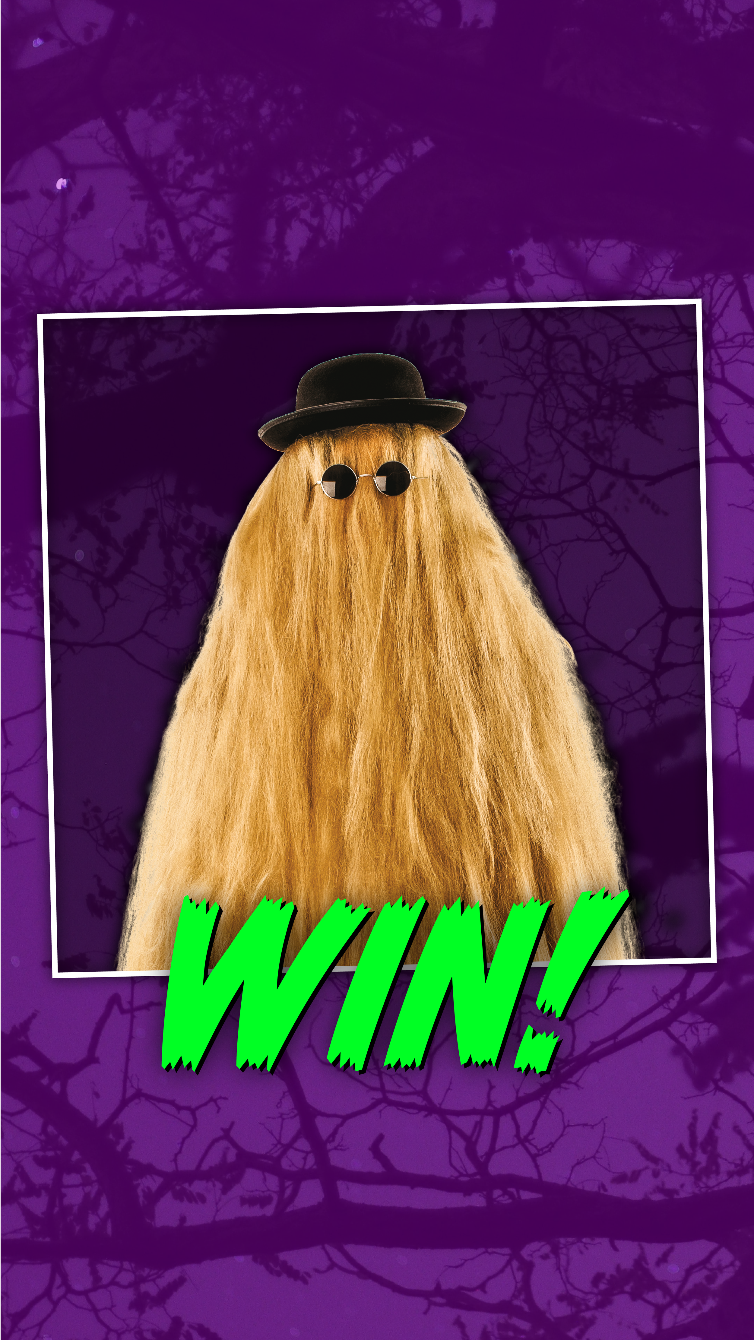 instagram-story-hairy-relative.png