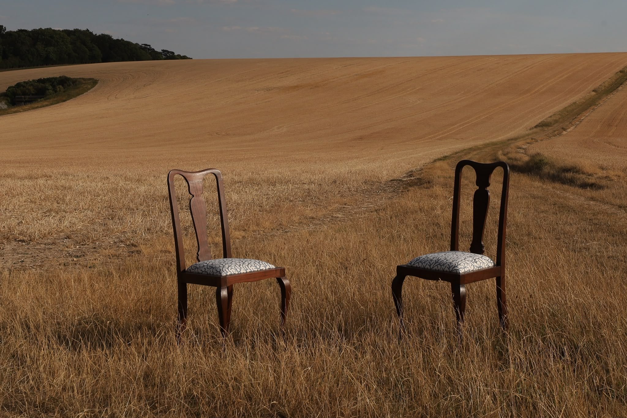 chairs in the corn.jpeg