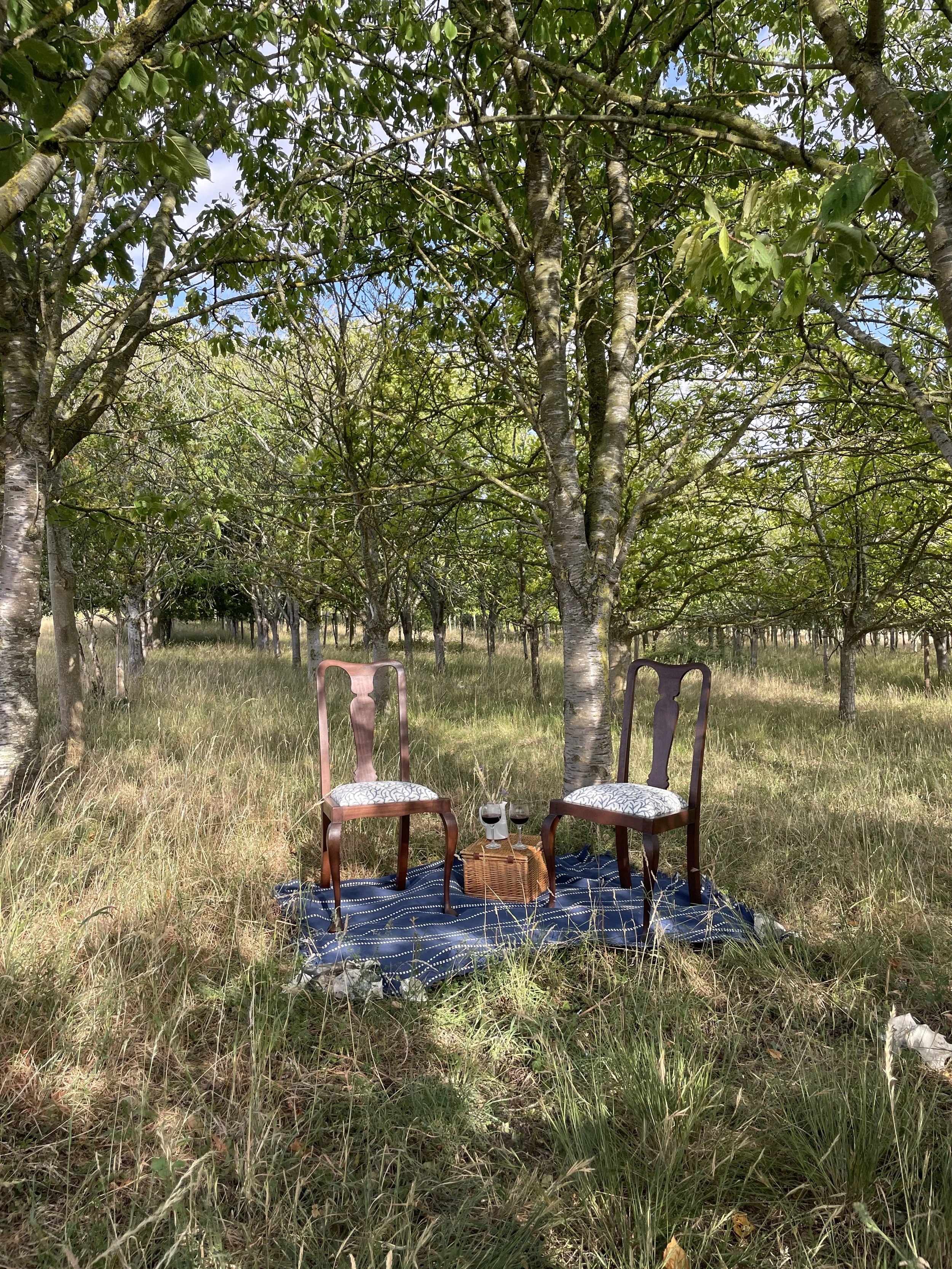 two 1920's Queen Anne style chairs with blue and white seat covers stand on a blue rug amid a plantation of trees. Sunlight rakes though the trees highlighting the two goblets on red wine that stand atop a picnic hamper placed betweeb the chairs.