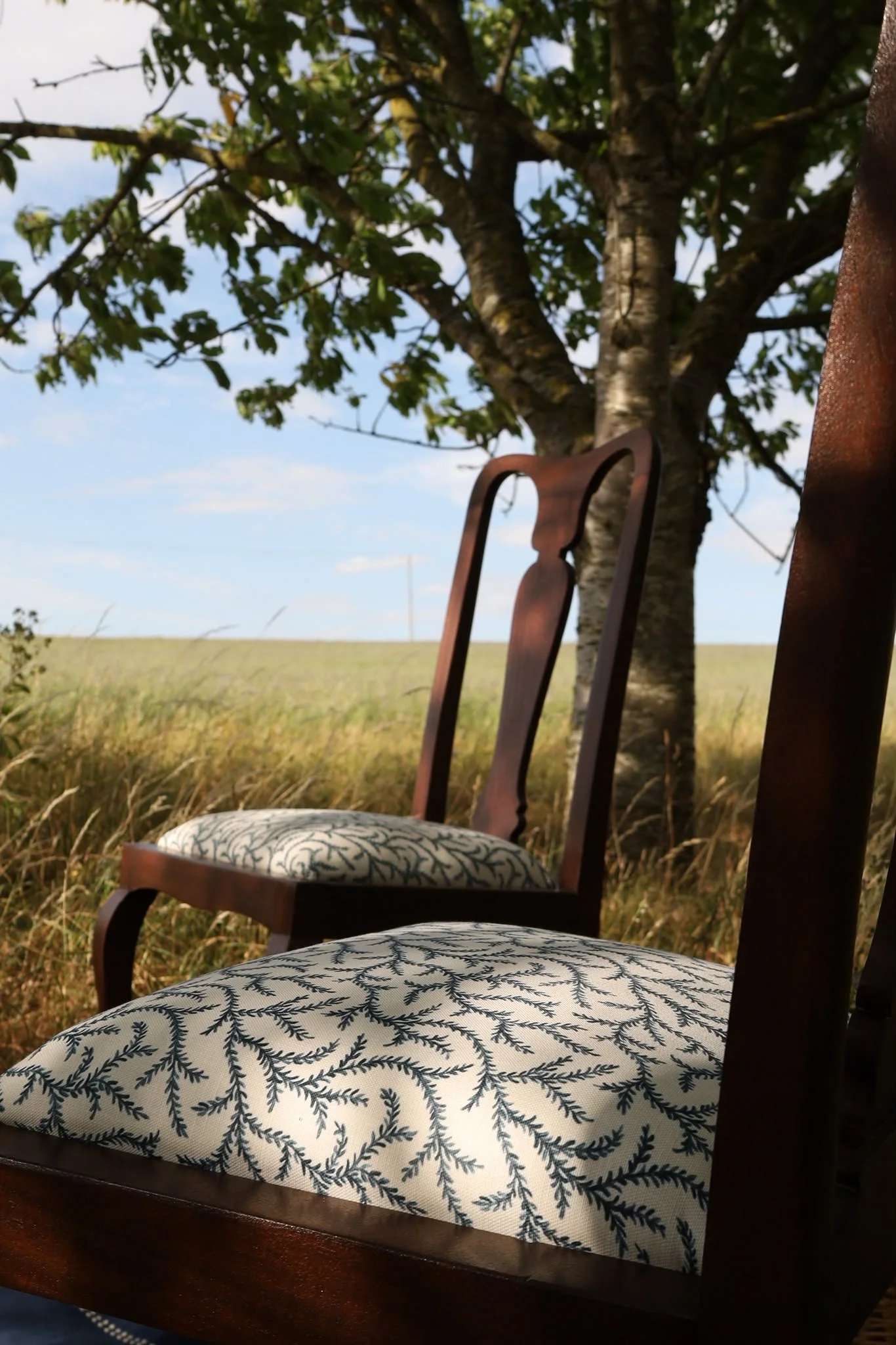 chairs in the wood.jpeg