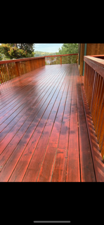 Wooden outdoor deck with railing, wet surface reflecting sunlight, surrounded by trees and greenery.