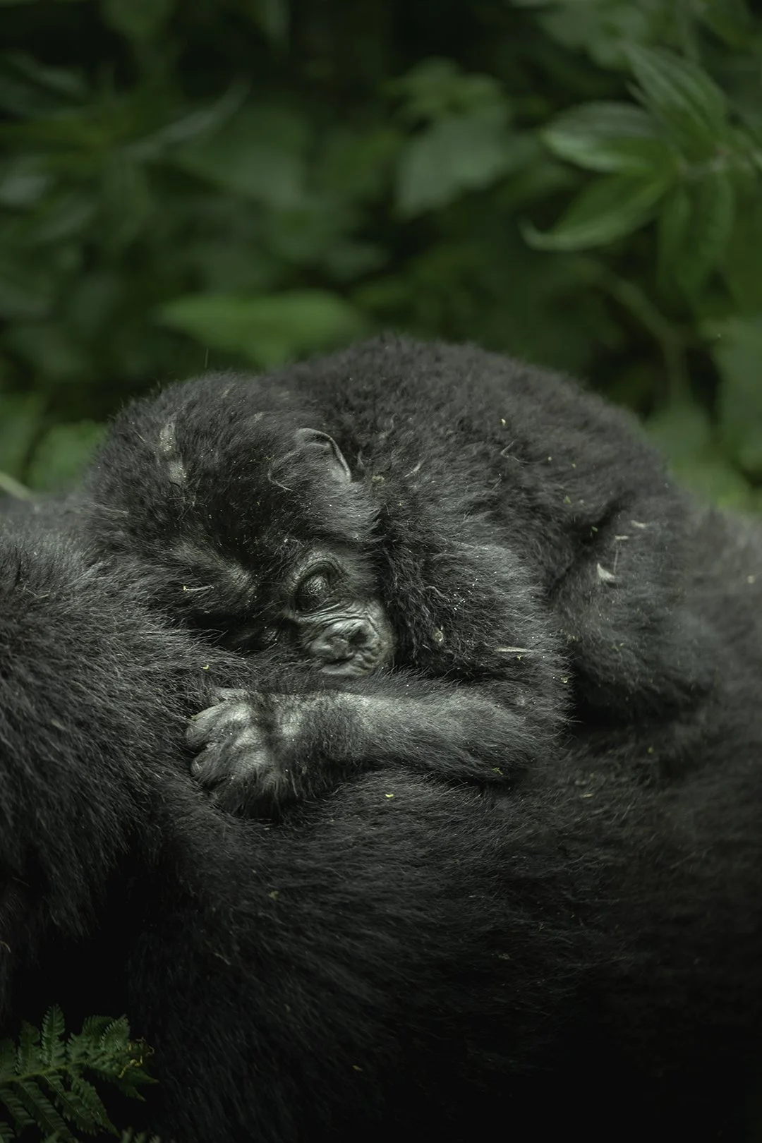 Sleep well