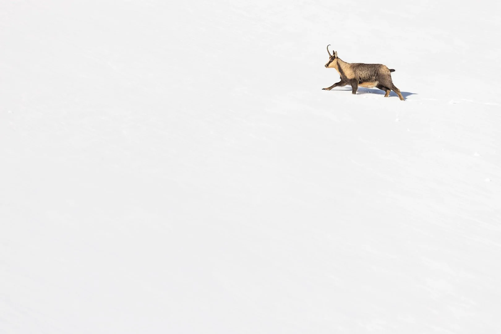 Minimalism in Sibillini National Park