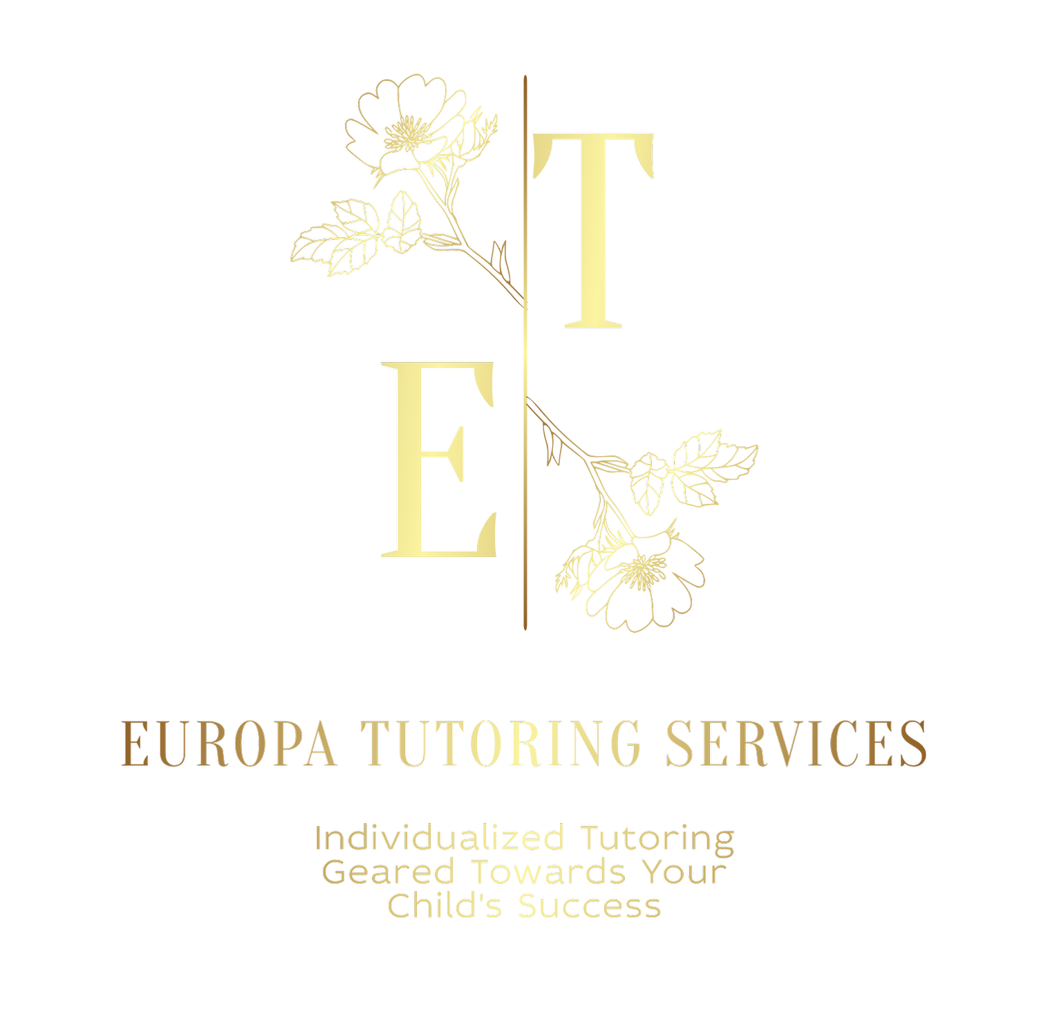 Expert Math &amp; Physics Tutoring Designed for Academic Success