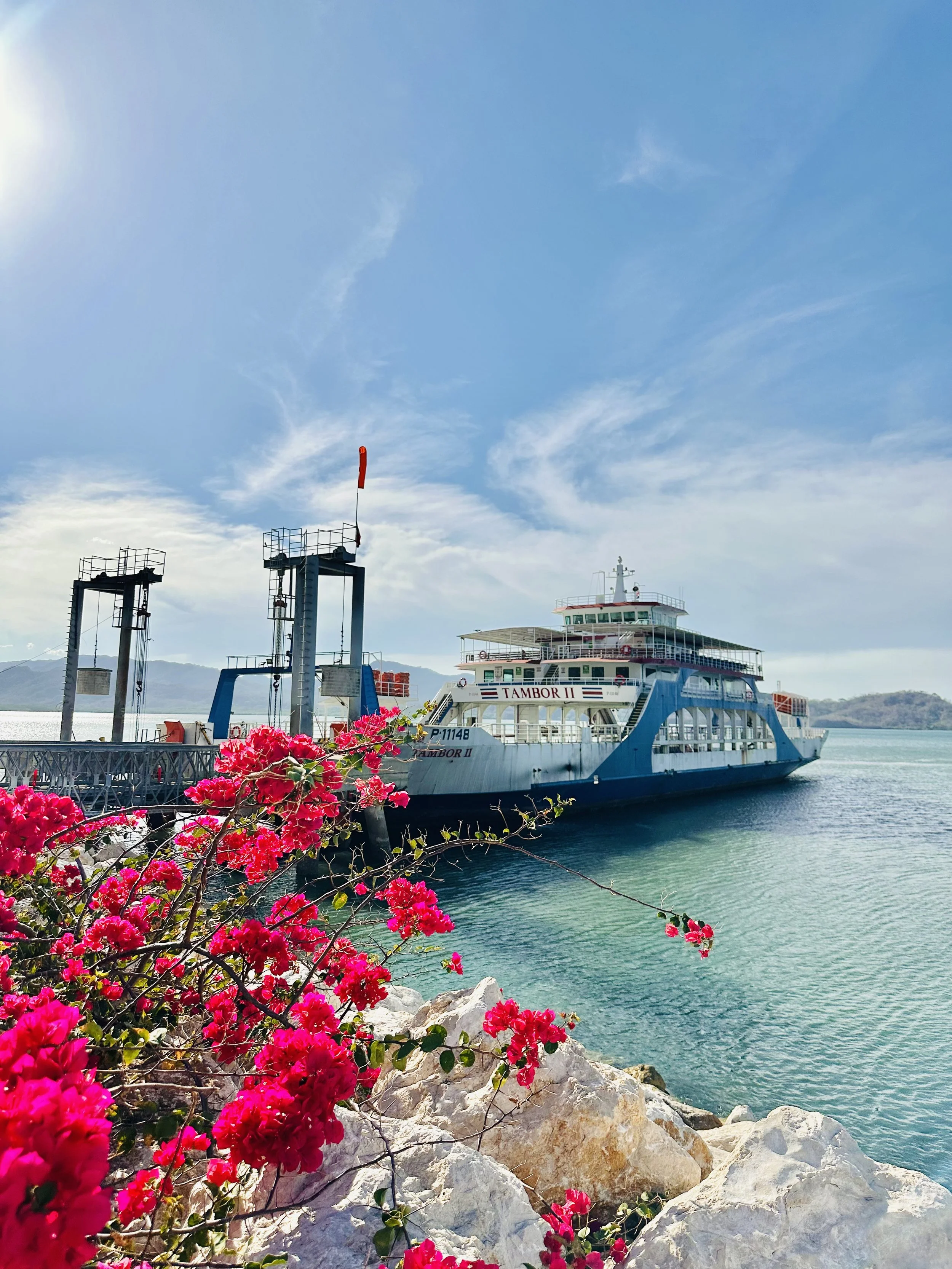 IMG_3293.jpeg