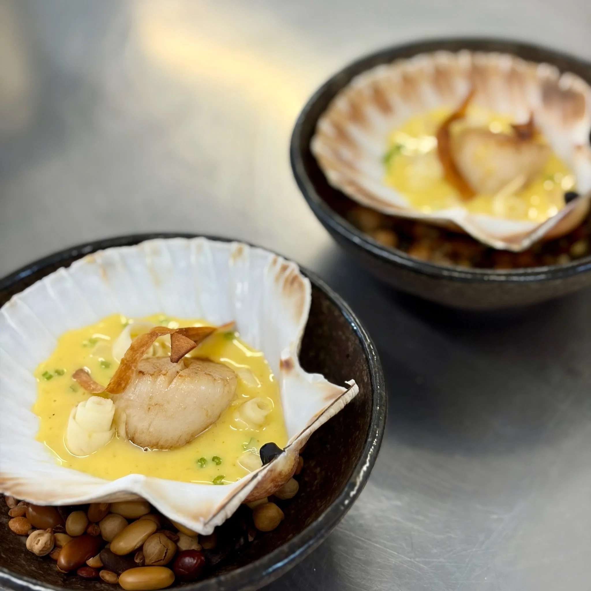 Scallops with curry sauce, pickled parsnips, and parsnip crisps.jpeg