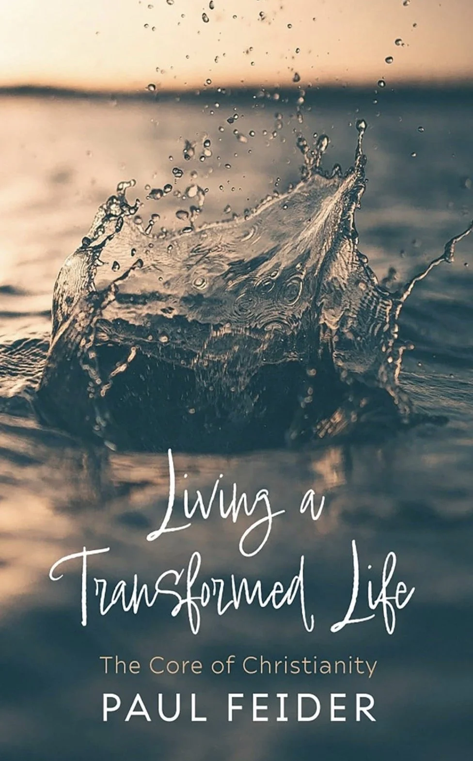 Living a Transformed Life - Fr. Paul Feider