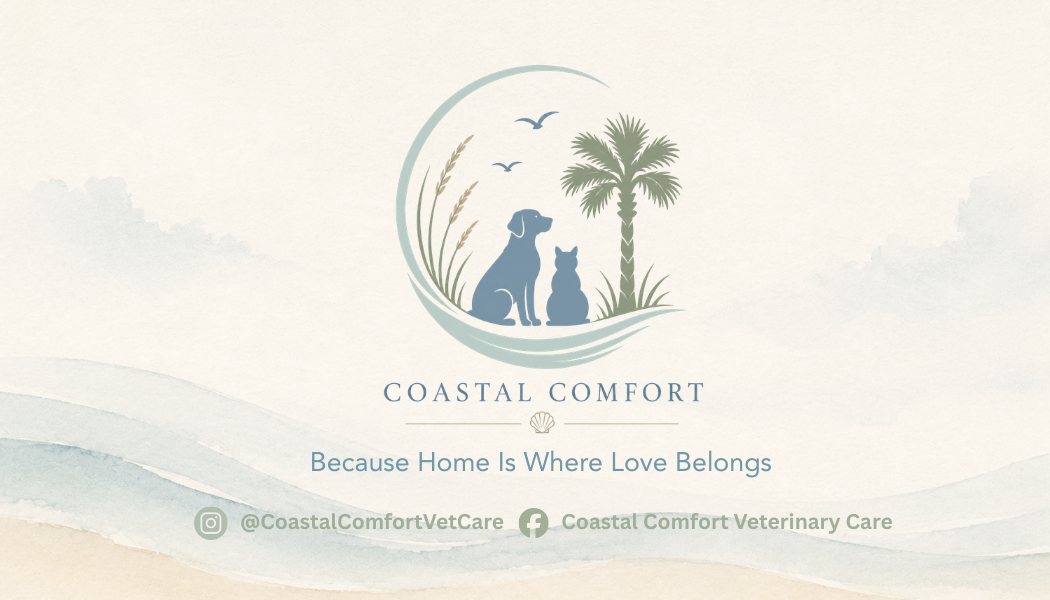 Logo for Coastal Comfort featuring a dog, a cat, a palm tree, and a seagull with accompanying text 'Because Home Is Where Love Belongs' and social media handles.