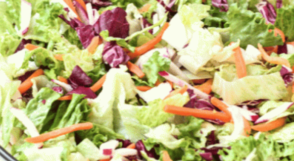 Garden Salad