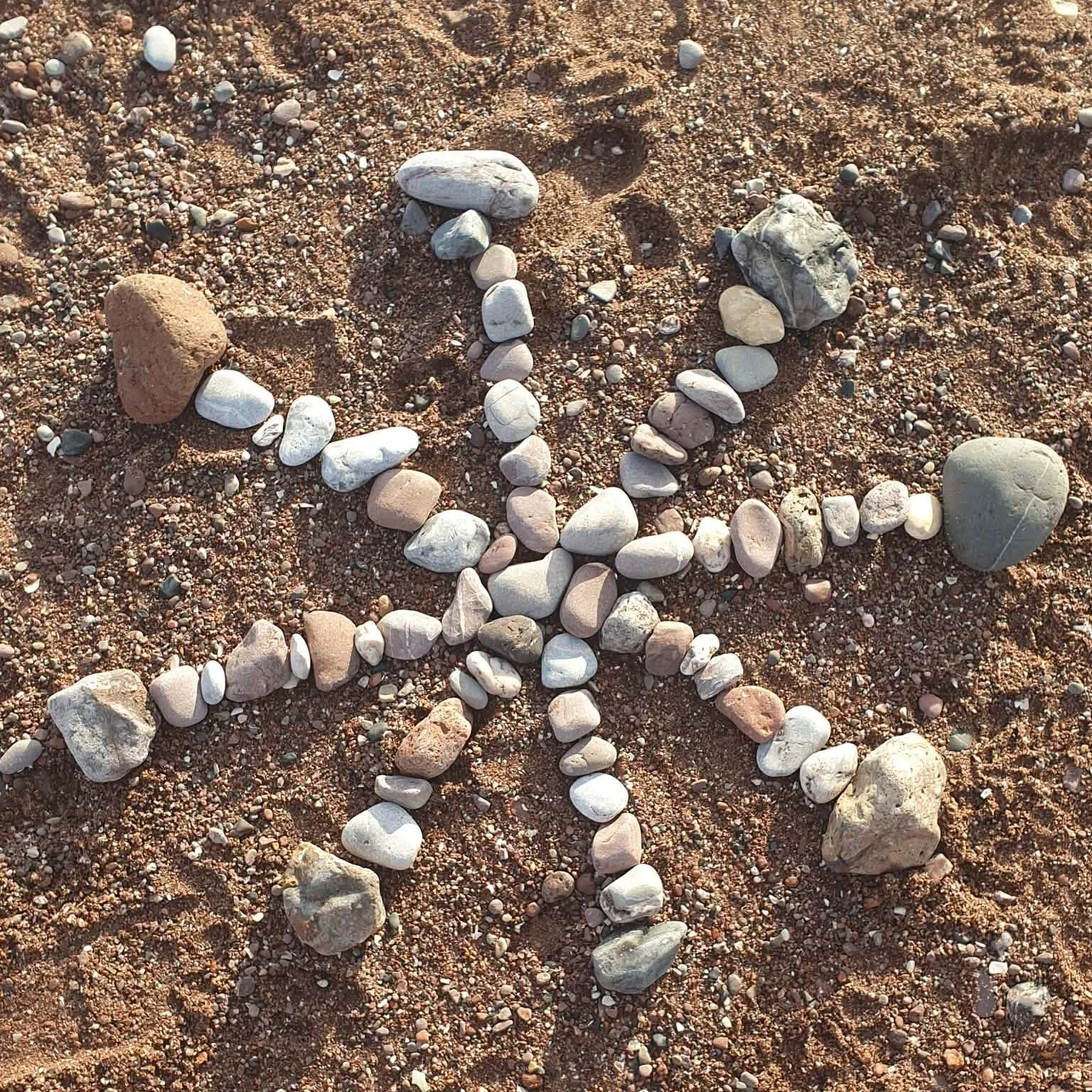 Rocks arranged on sandy ground to form a star shape.