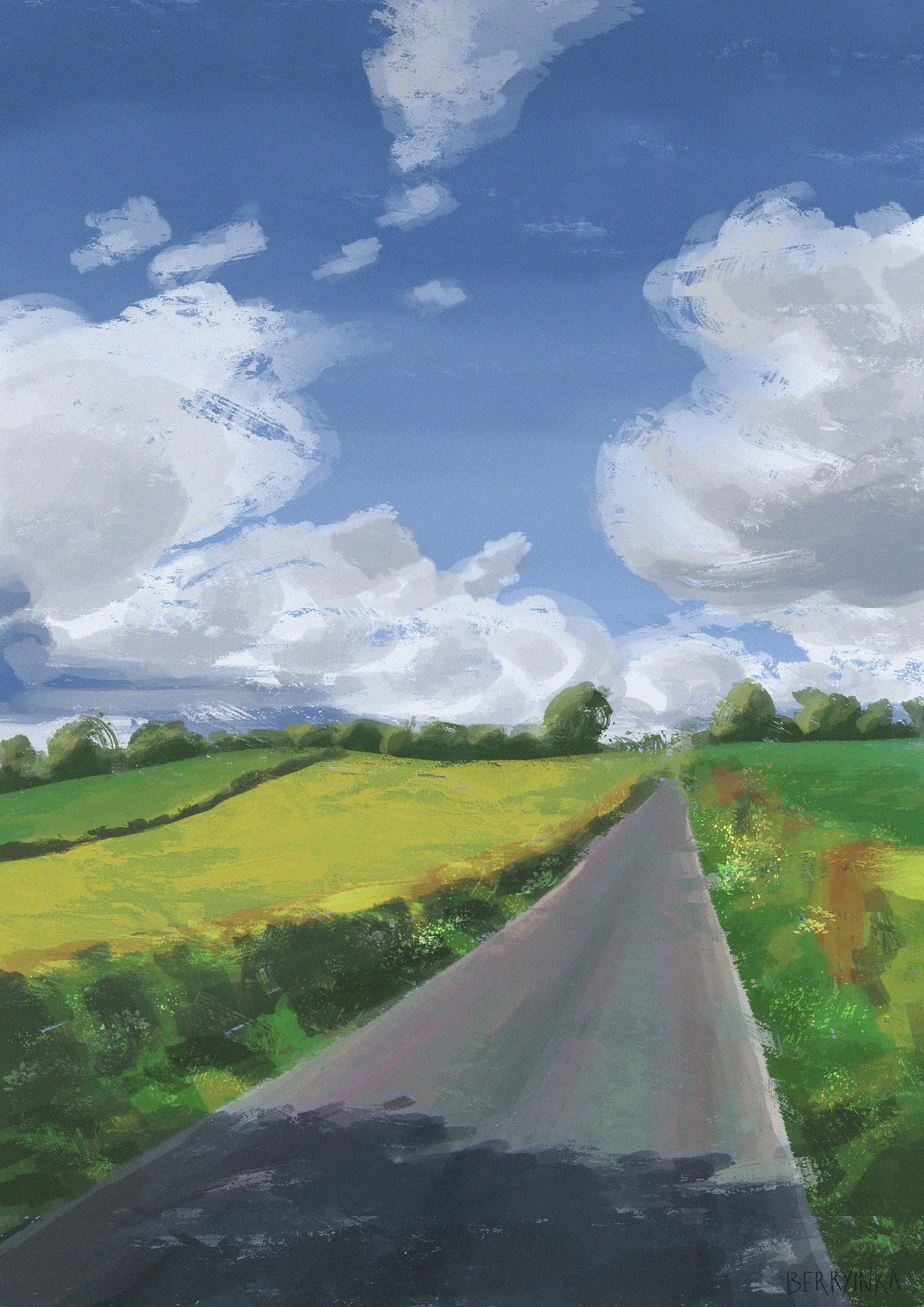fields 2.jpg