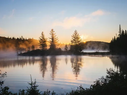 Sunrise over a river with mist and pine trees in the background.