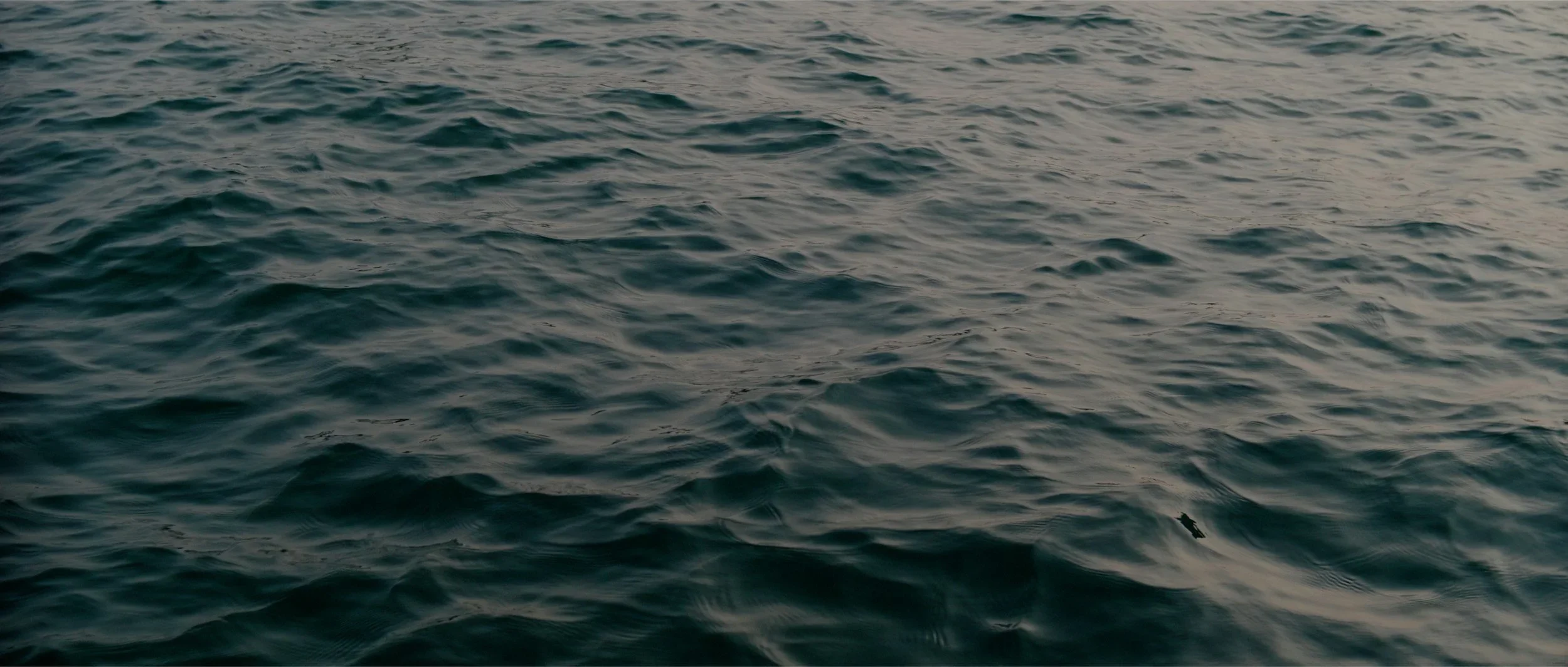 Open ocean with rippling waves on a cloudy day.