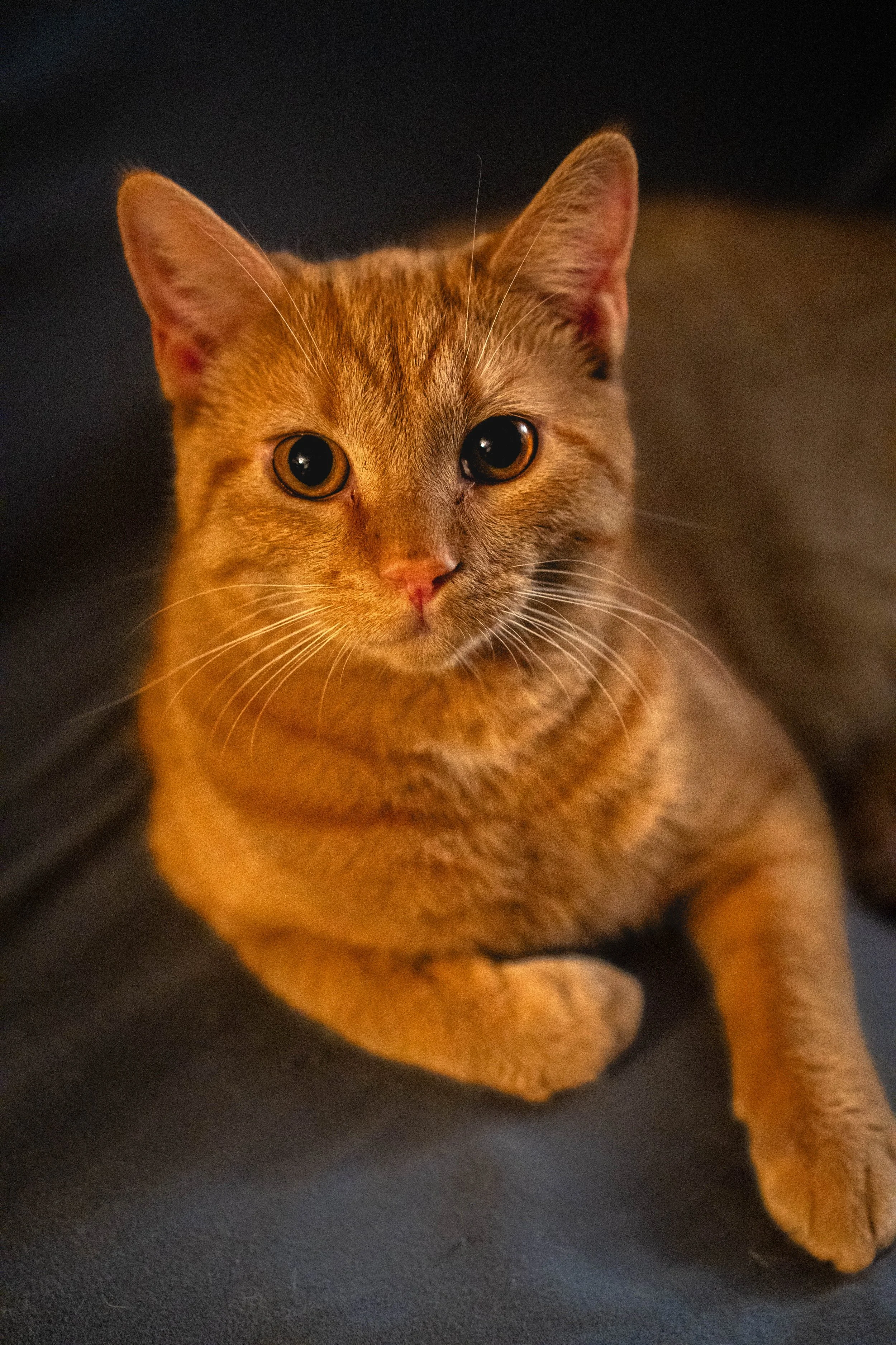 DSC00886.jpg