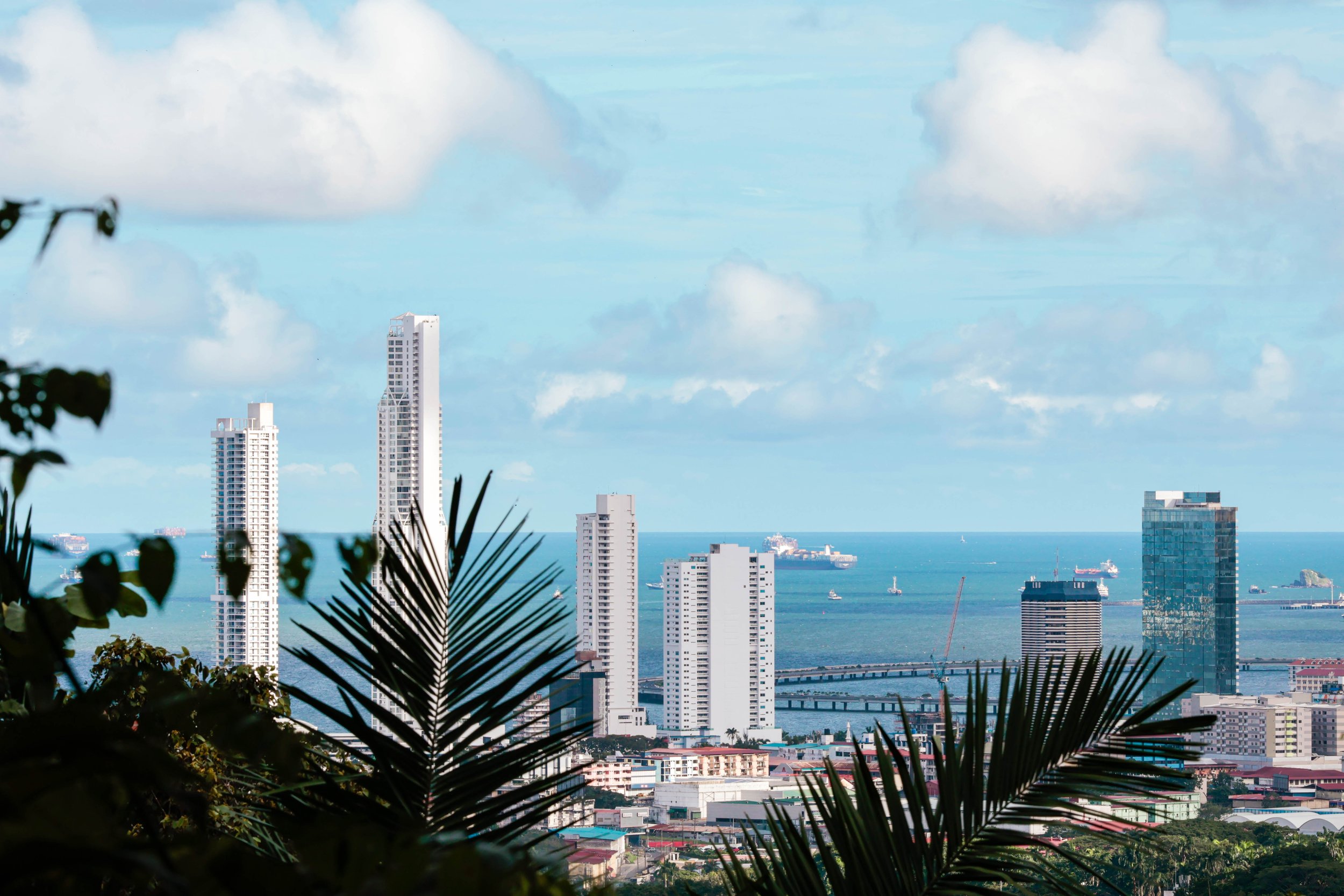 A skyline view of high-rise buildings along a coastline, framed by dark silhouette leaves in the foreground, with a cloudy blue sky overhead.