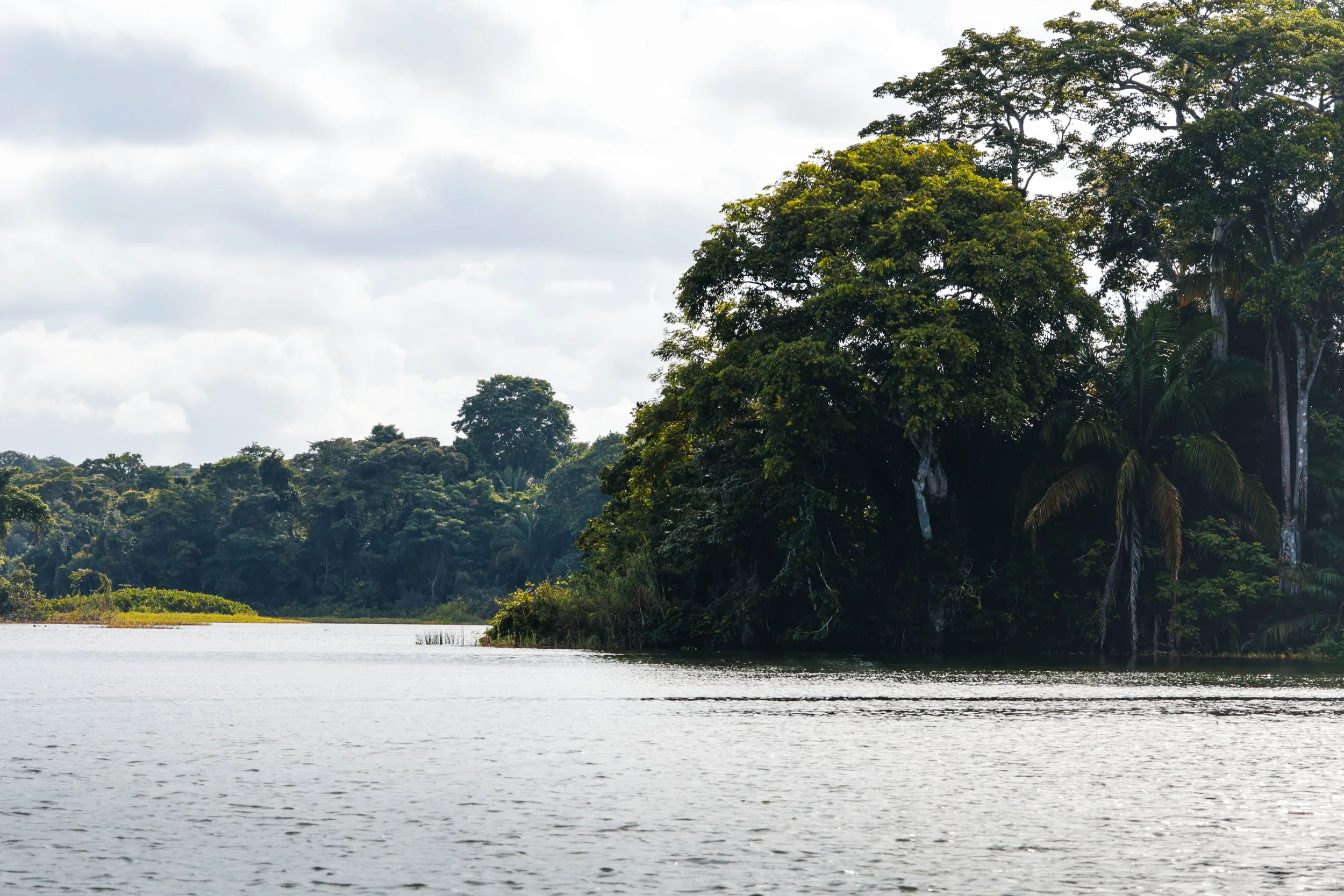 Gatun Lake Panama Canal