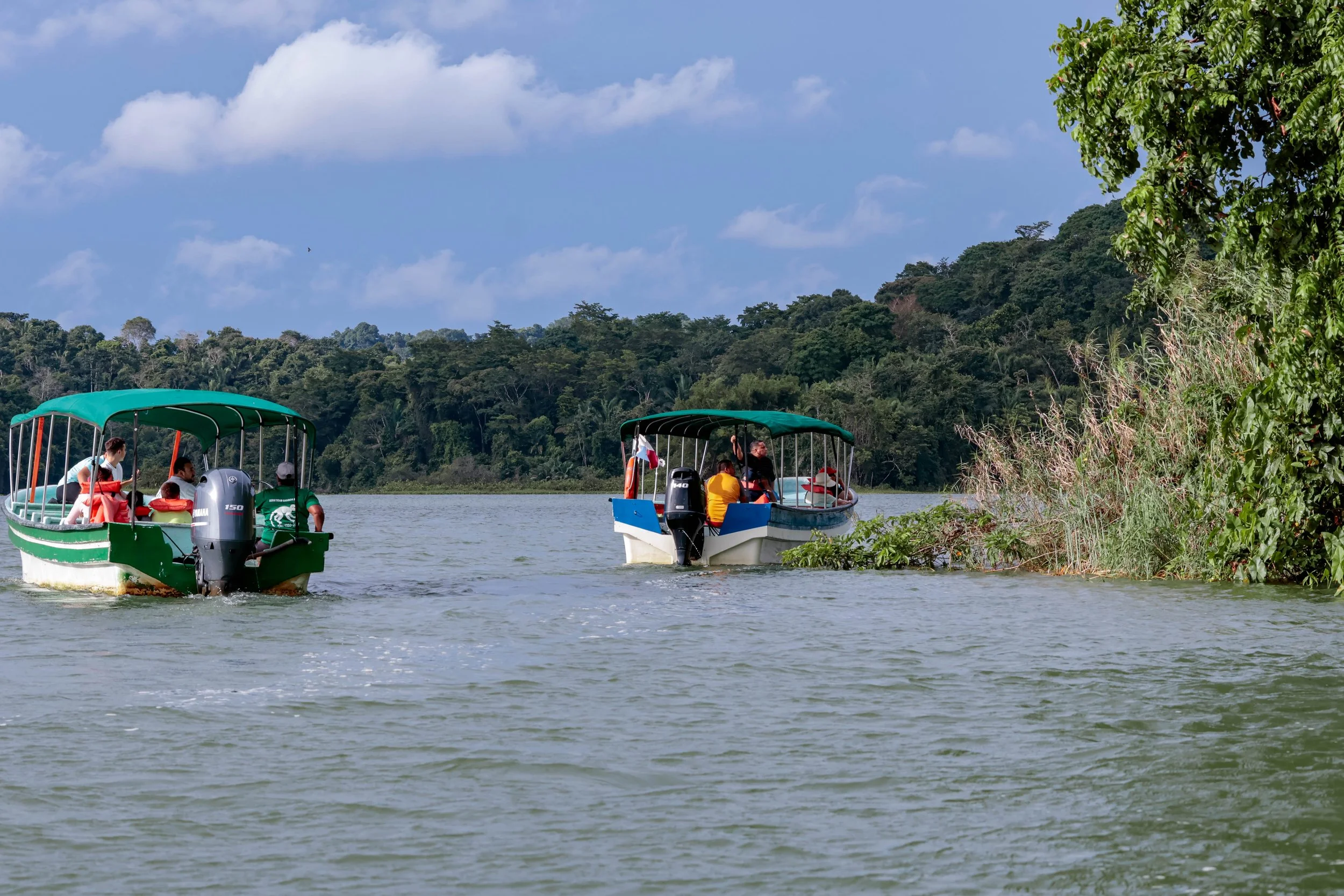 Gatun Lake Panama Canal
