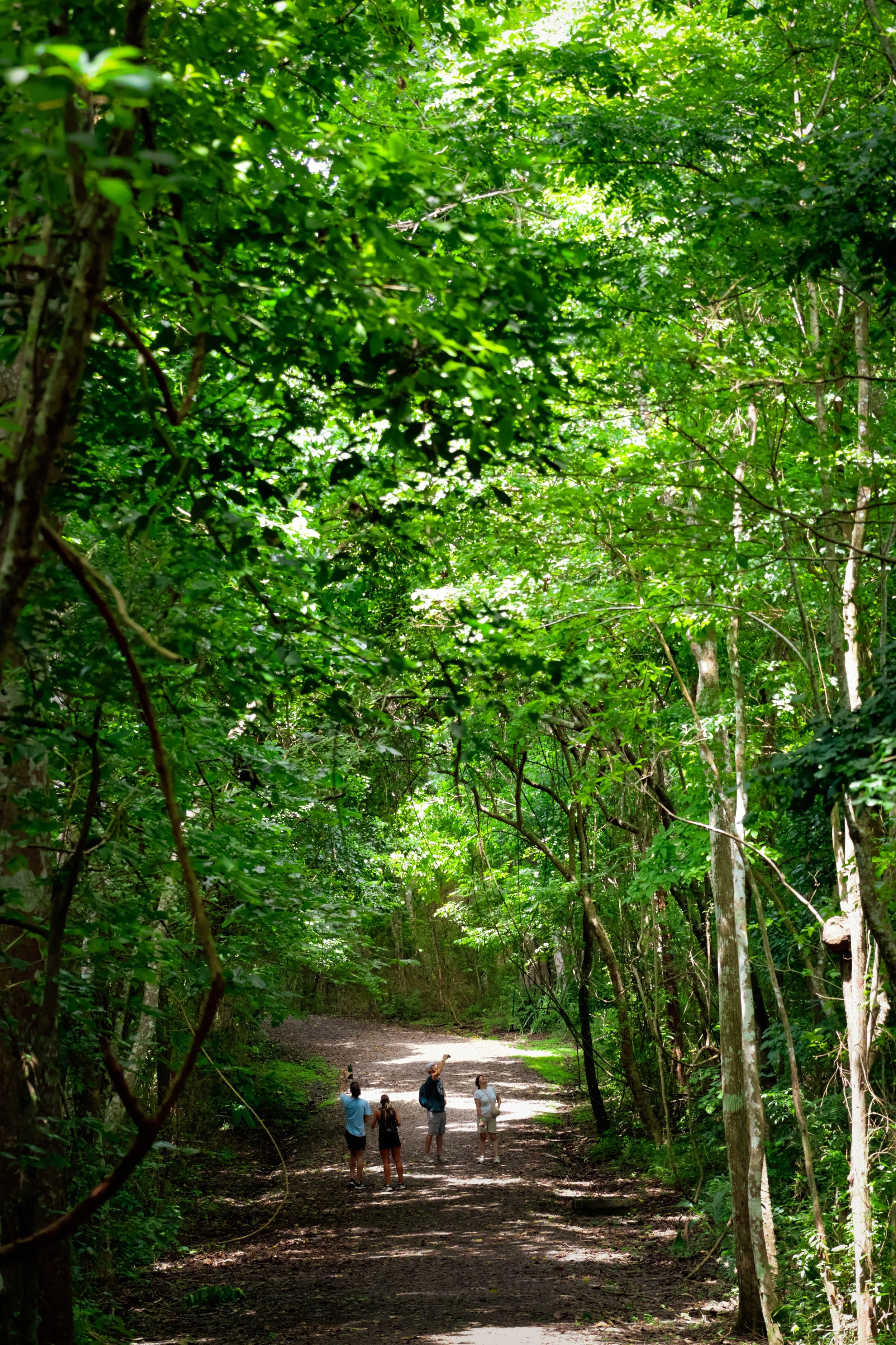 Parque Metropolitano, Panama City