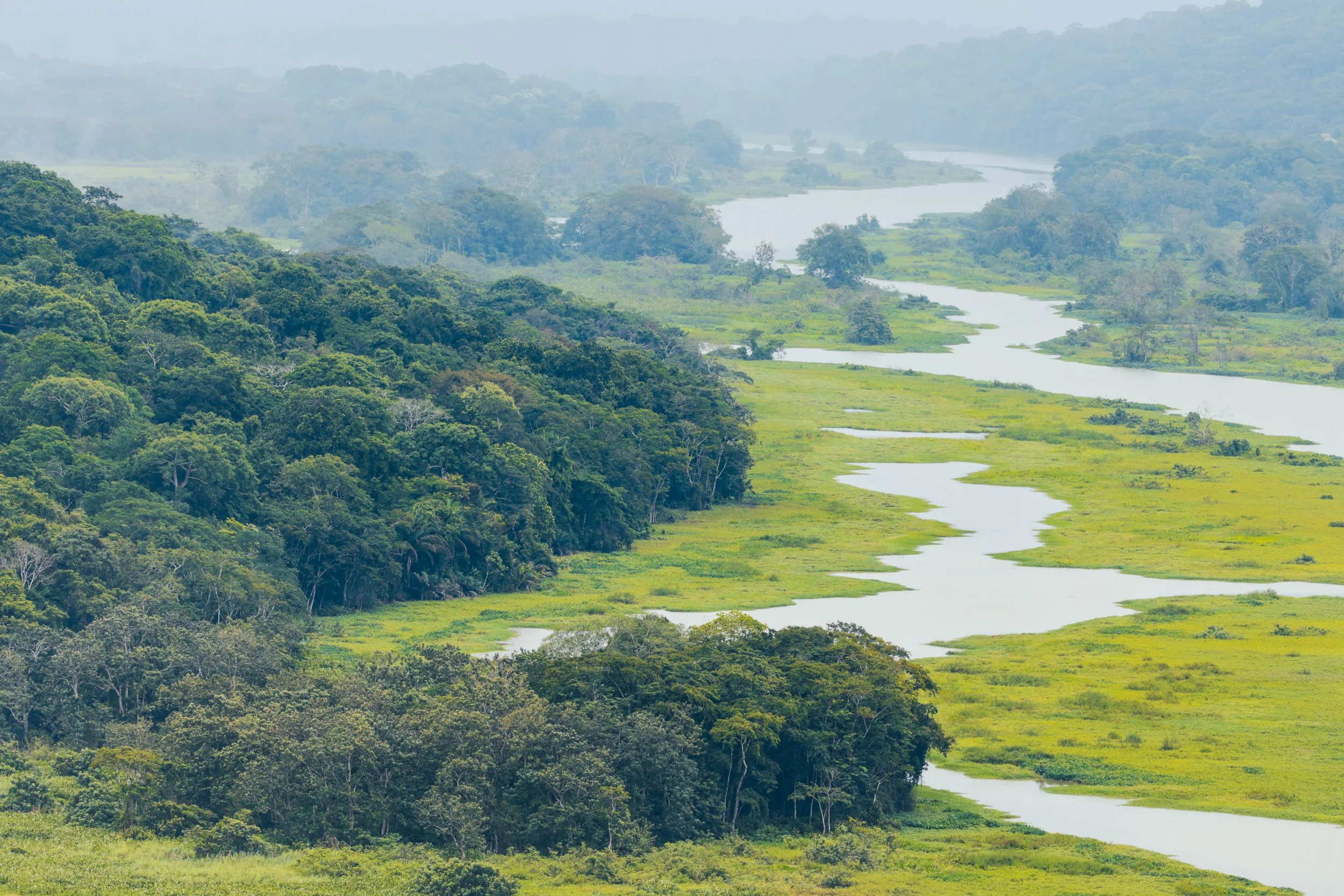 Chagres River, Soberania National Park