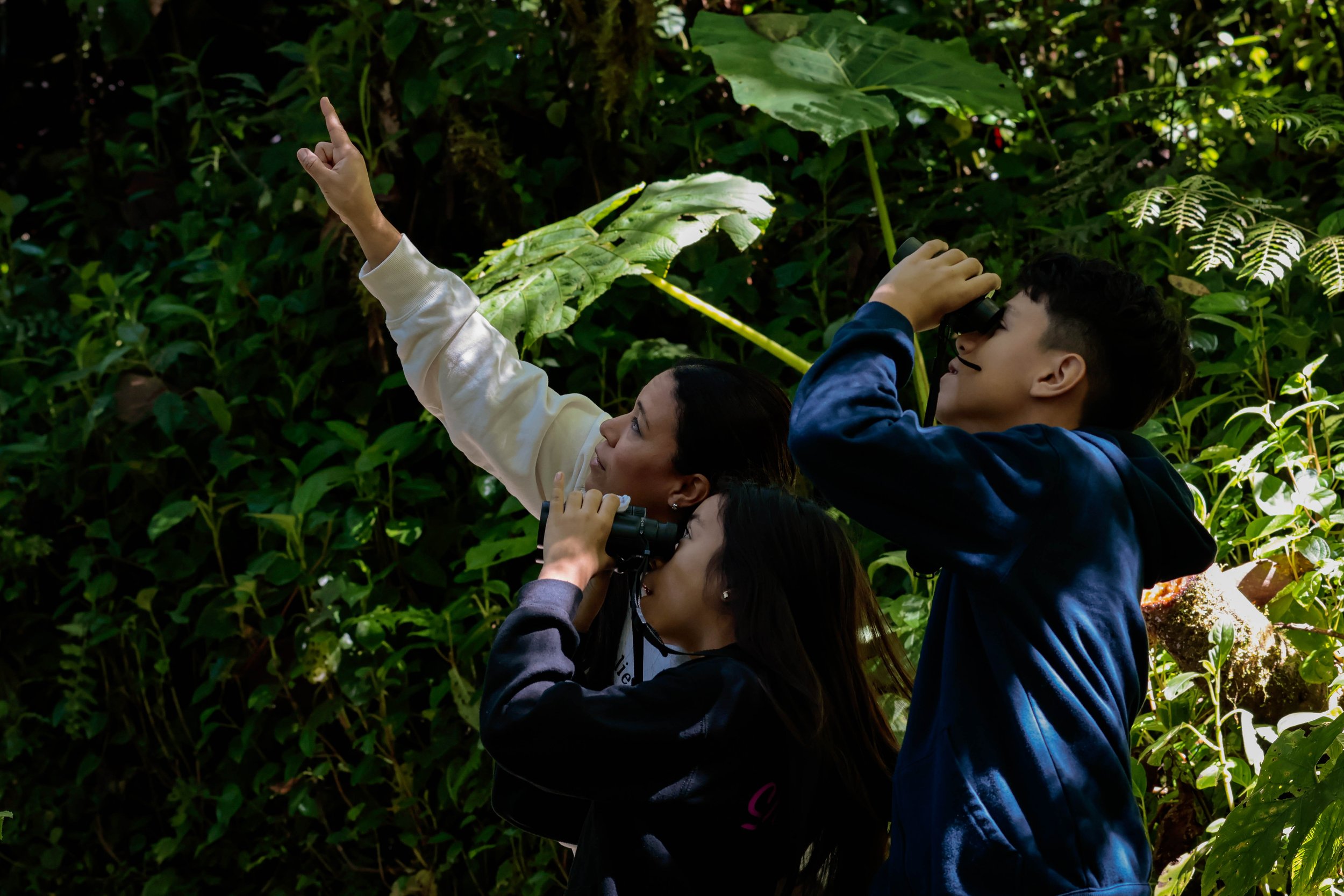 Birding Walk