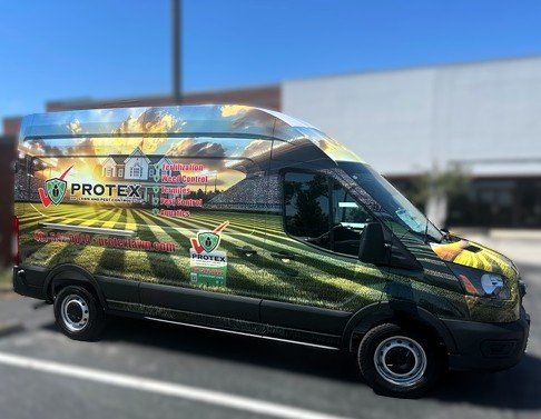 Commercial van with Protex branding parked in a lot against a clear blue sky.