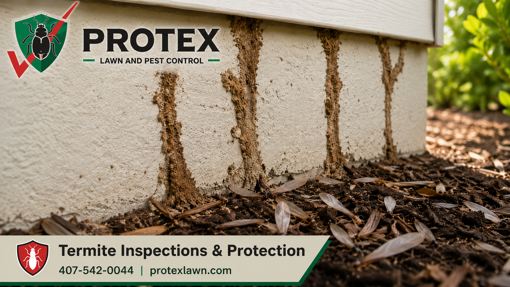 Termite Control Winter Garden FL: Spot Activity Before Costly Damage