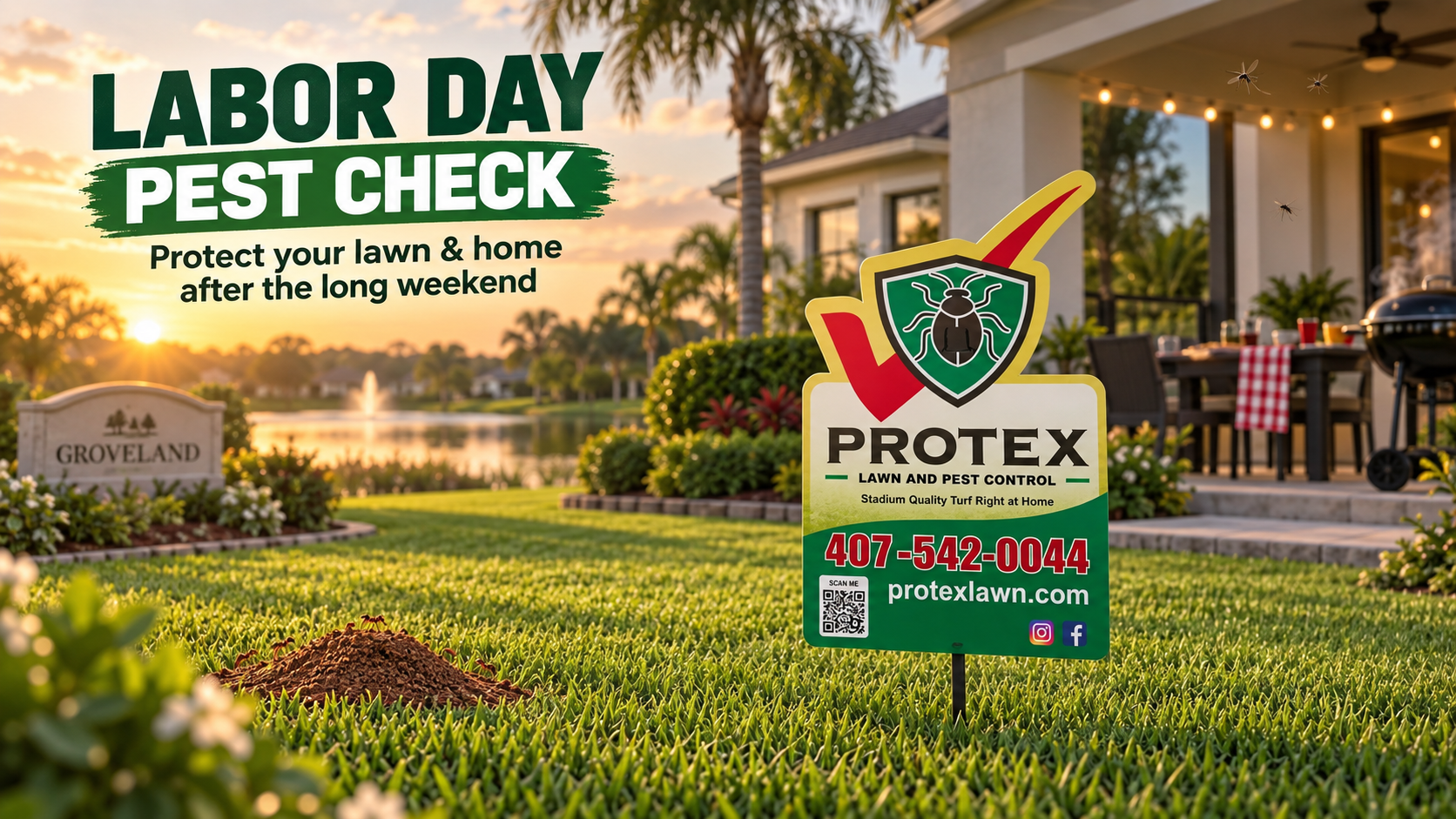 Pest Control Groveland FL | Stop Common Home Invaders | Protex