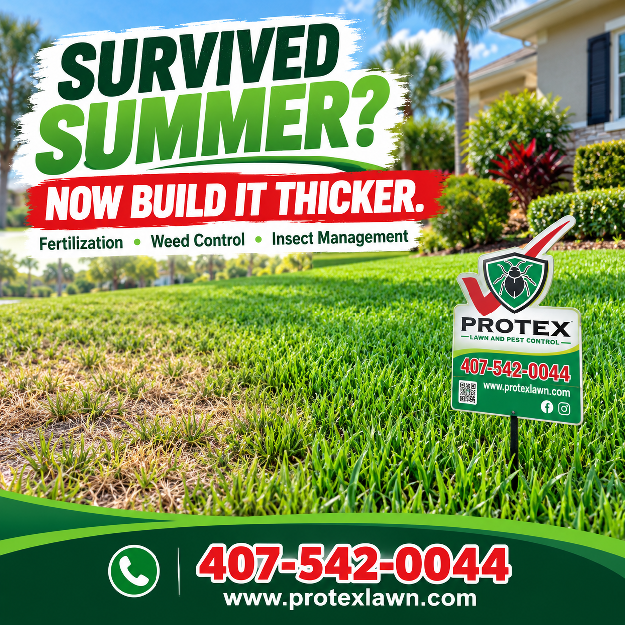Lawn Care Groveland FL: How to Build a Thicker, Tougher Lawn