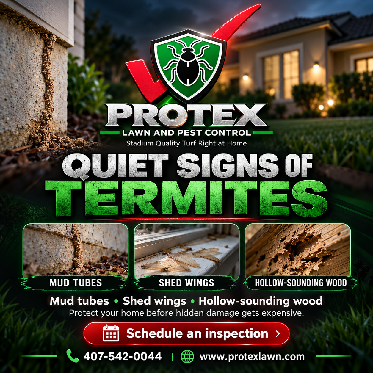 Termite Control Clermont FL: Signs You Should Never Ignore