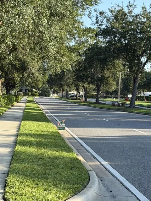 A quiet suburban street with a sidewalk on the left, green grass, and trees lining the street. There is a small mailbox on the grass near the sidewalk. The street is empty with no cars or people visible.