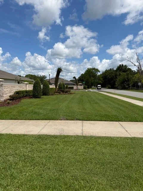 Front yard with green lawn, sidewalk, residential houses, trees, and a partly cloudy sky.
