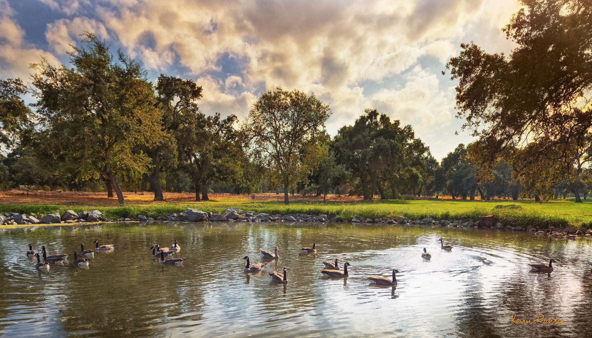 Oak_Grove_Park_Pond.jpg