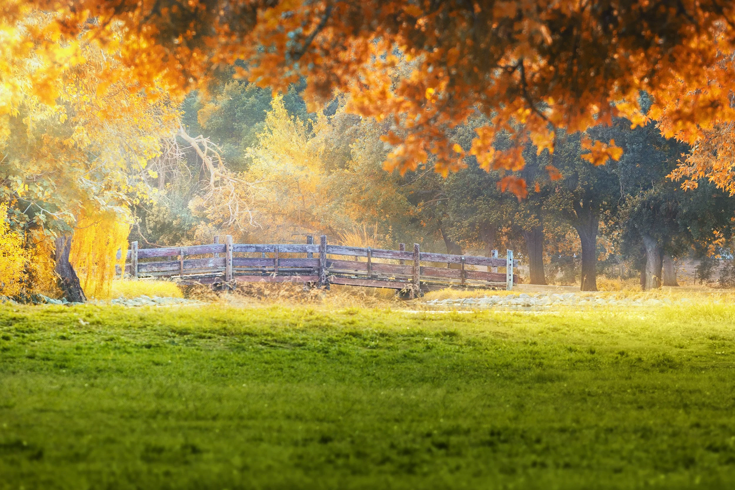 Sun Beam Bridge