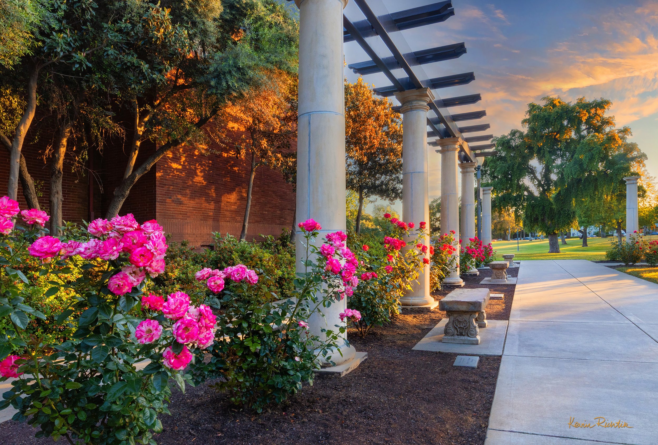 Rose Garden.jpg
